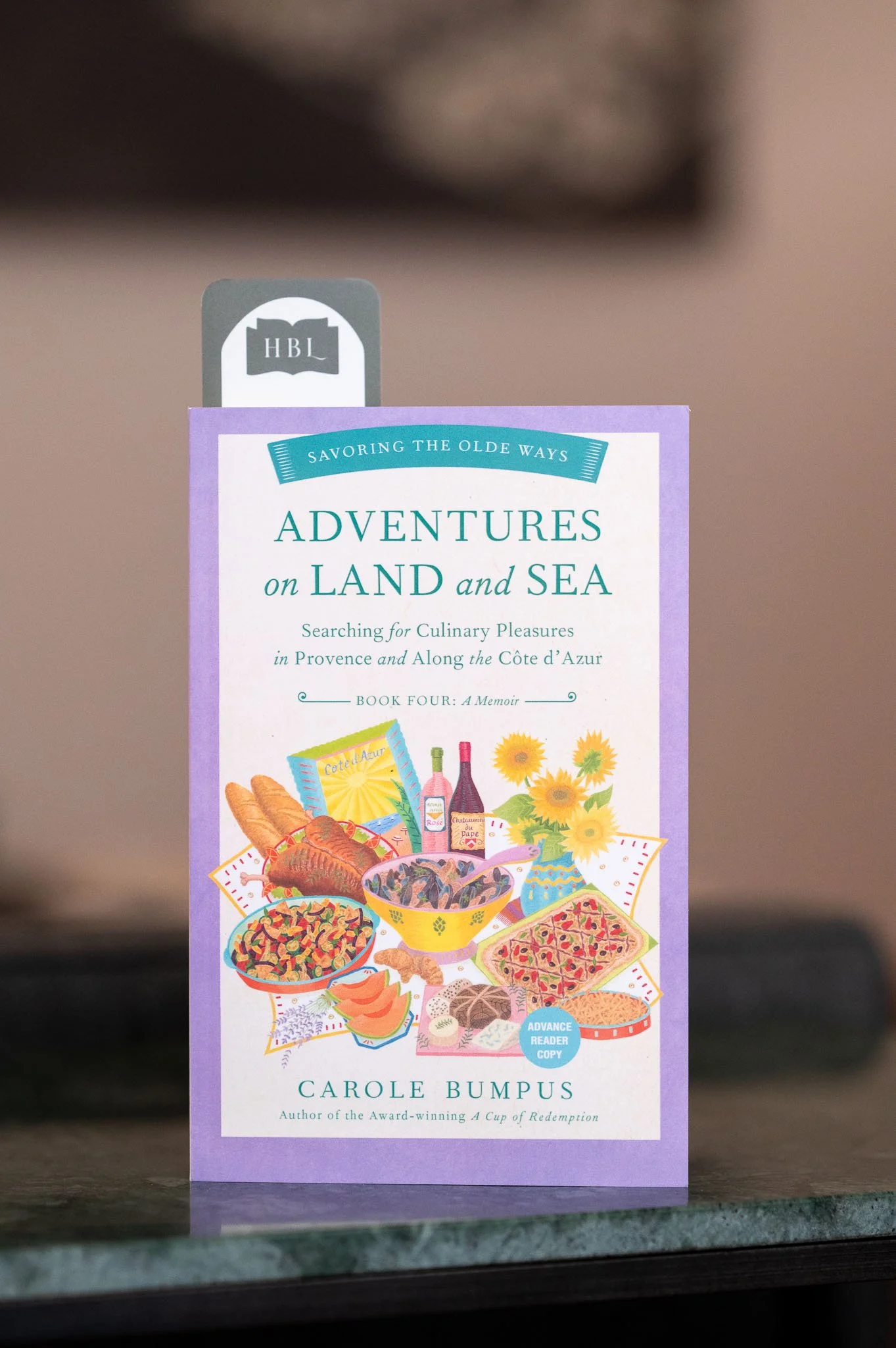 The Adventures of Land and Sea by Carole Bumpus.jpg