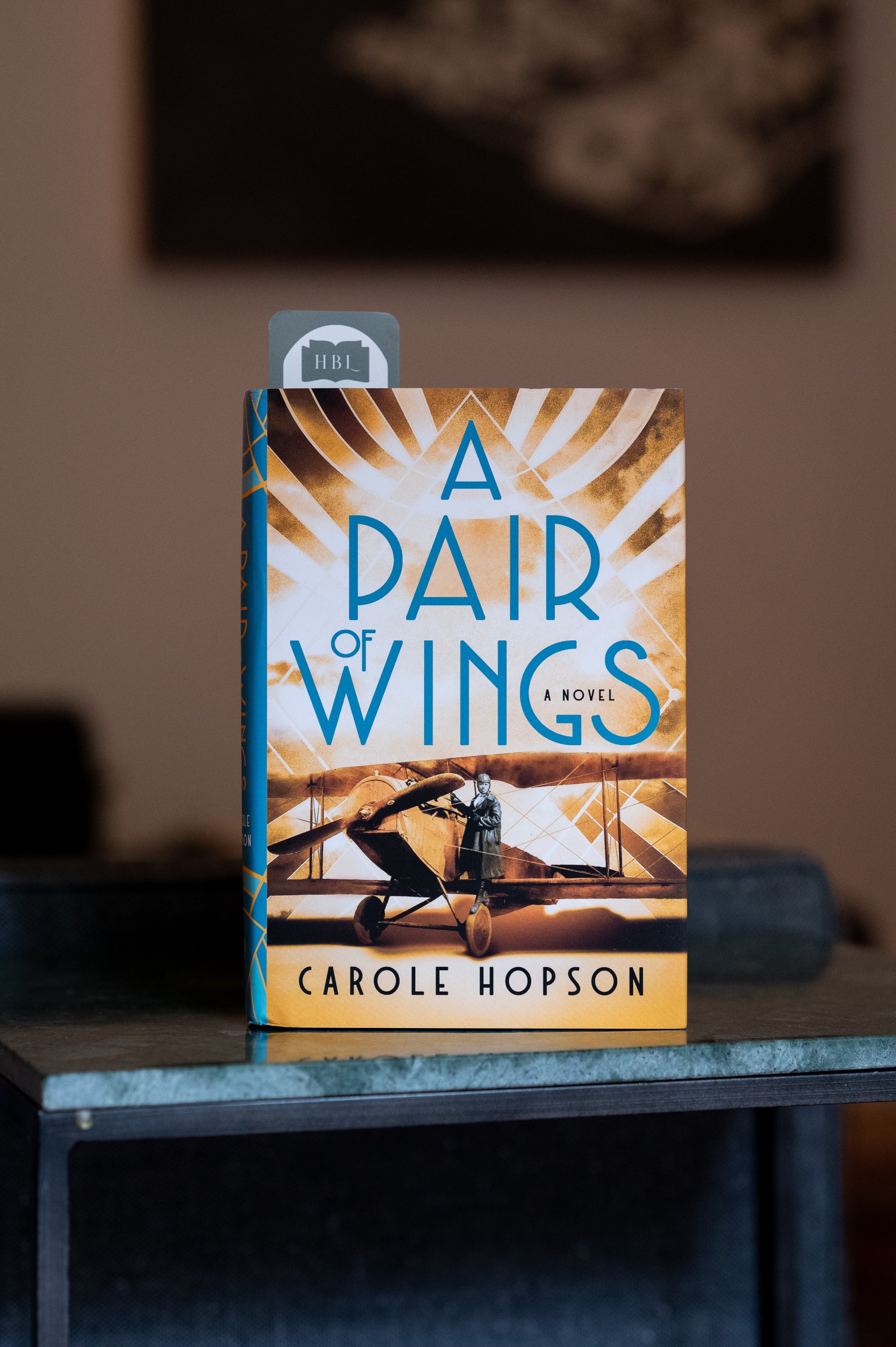 A Pair of Wings by Carole Hopson.jpg