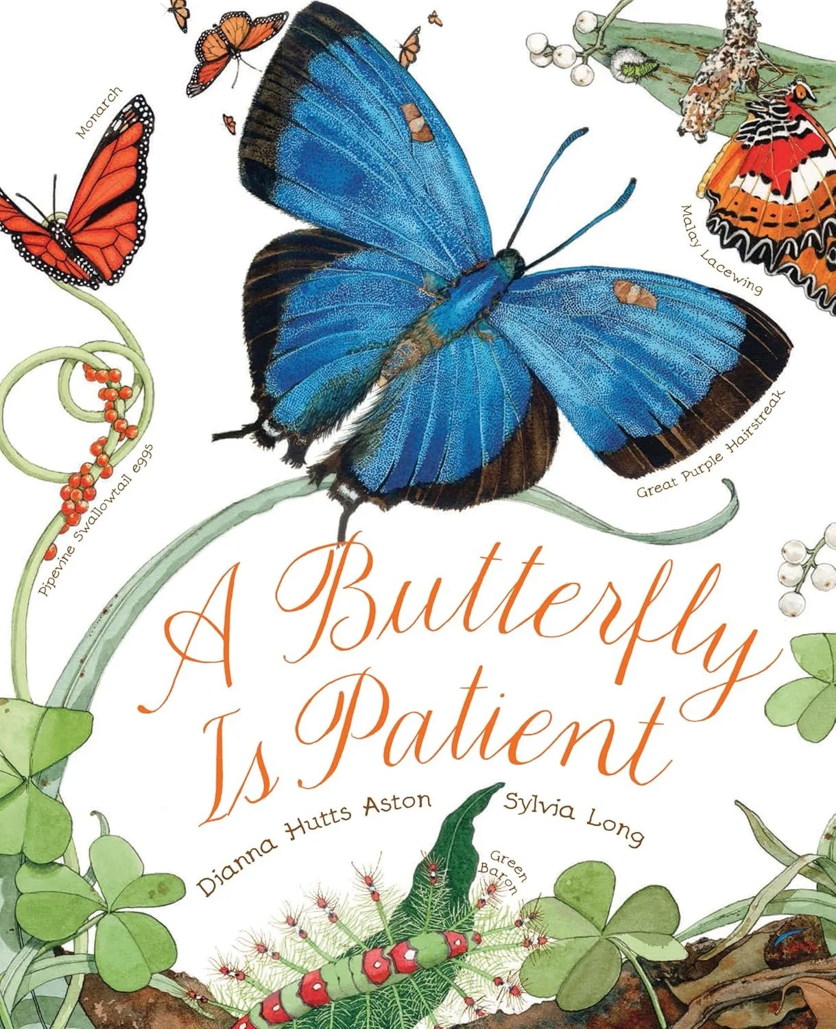 A Butterfly Is Patient.jpg