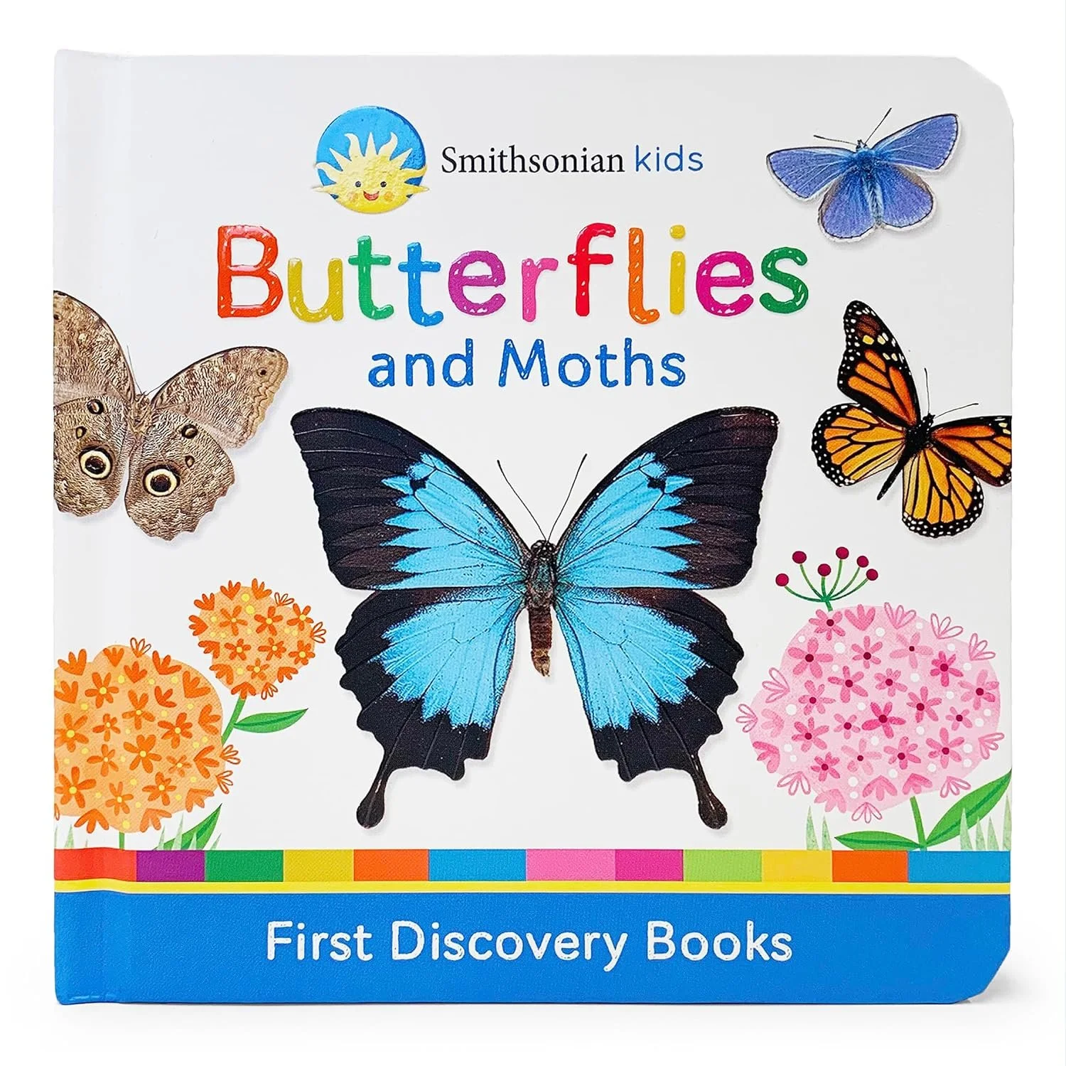 Butterflies and Moths.jpg