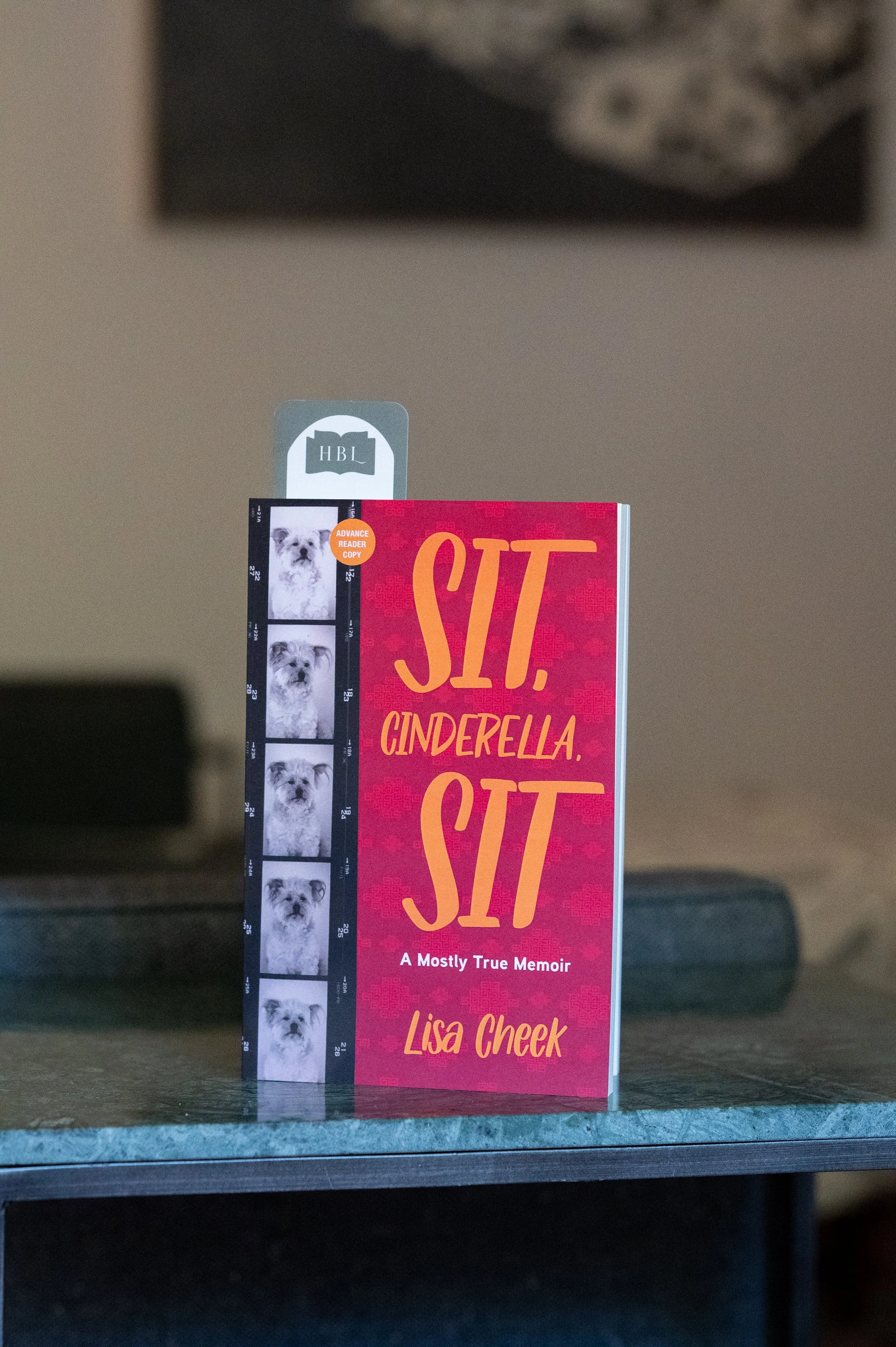 Sit, Cinderella, Sit by Lisa Cheek.jpg