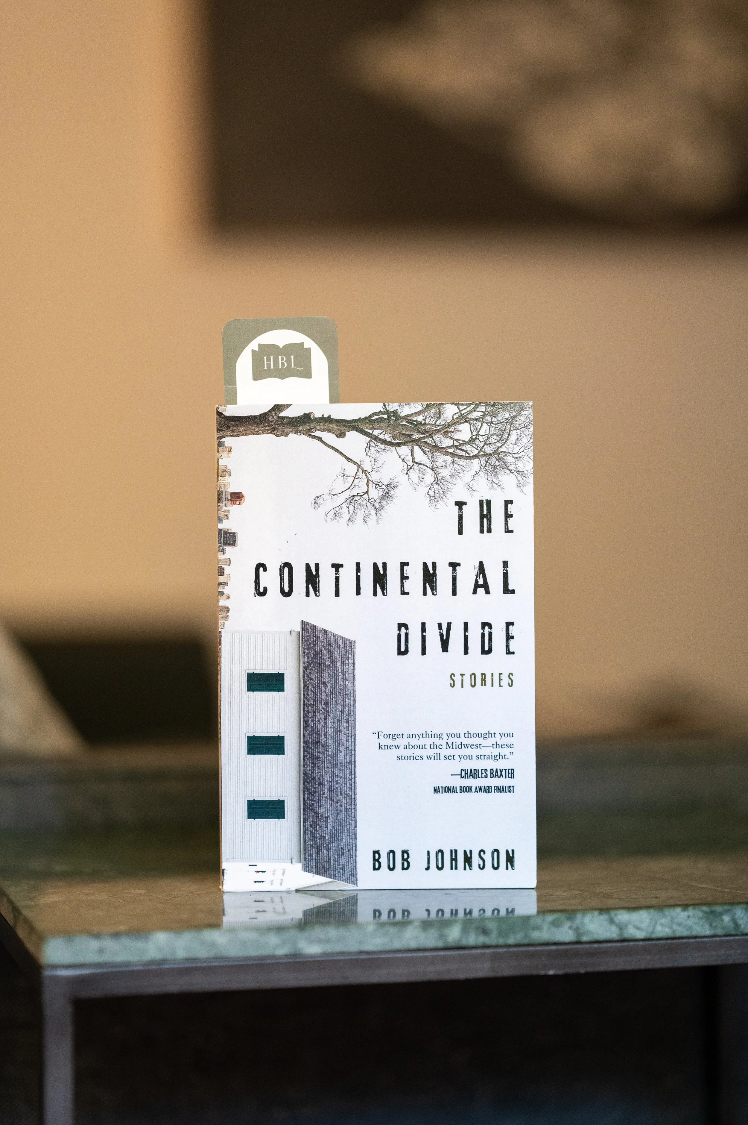 The Continental Divide by Bob Johnson.jpg