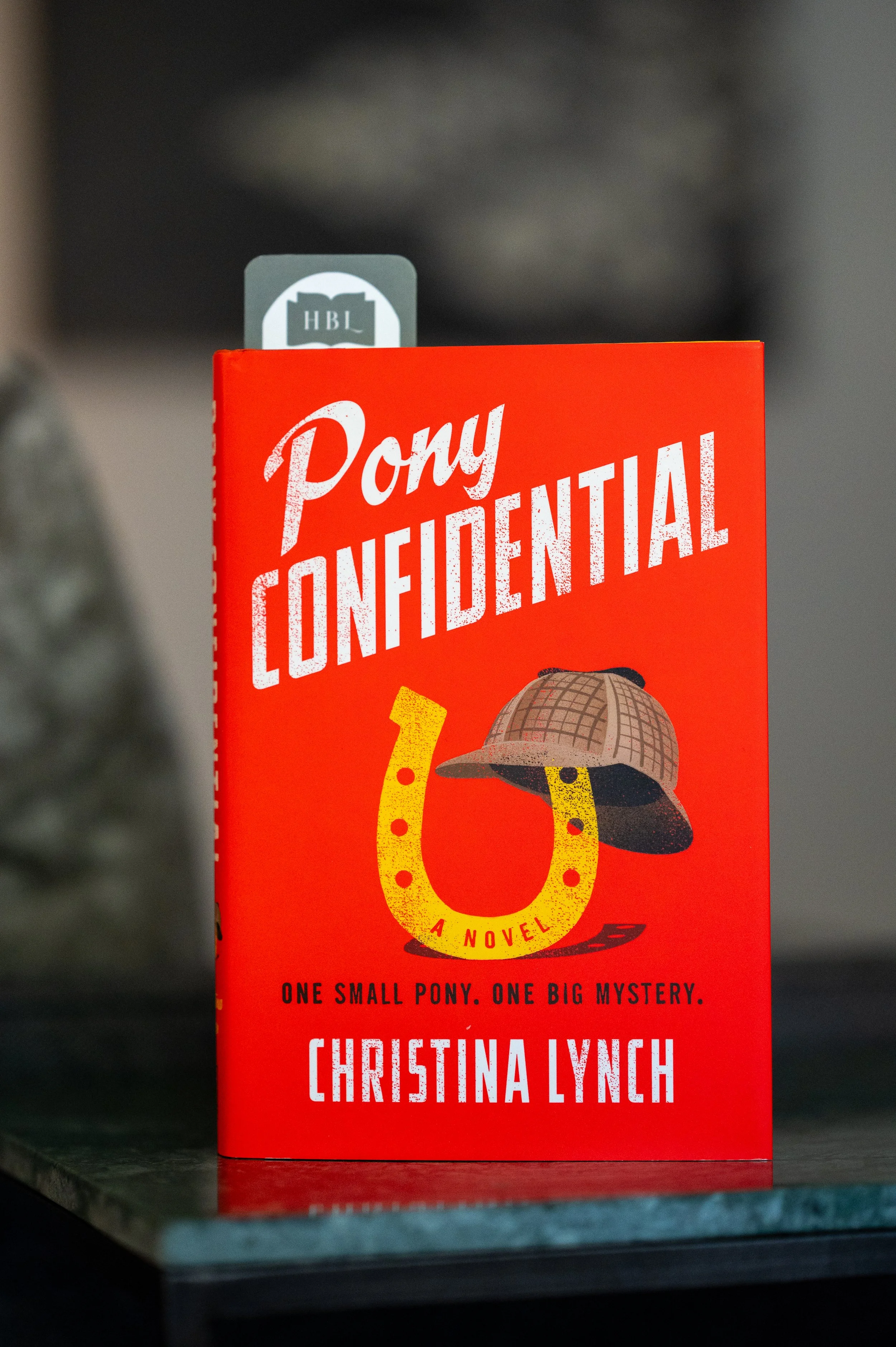 Pony Confidential by Christina Lynch-2.jpg