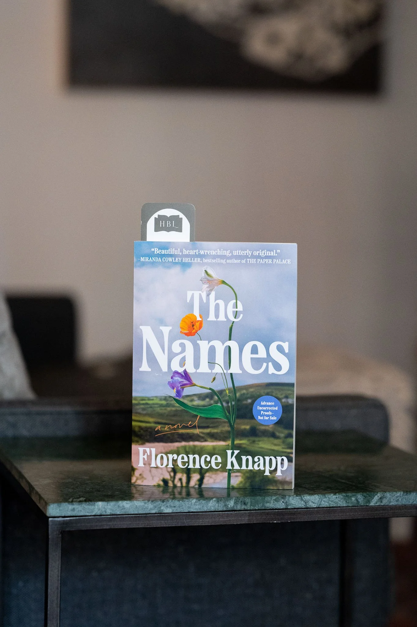 The Names by Florence Knapp.jpg