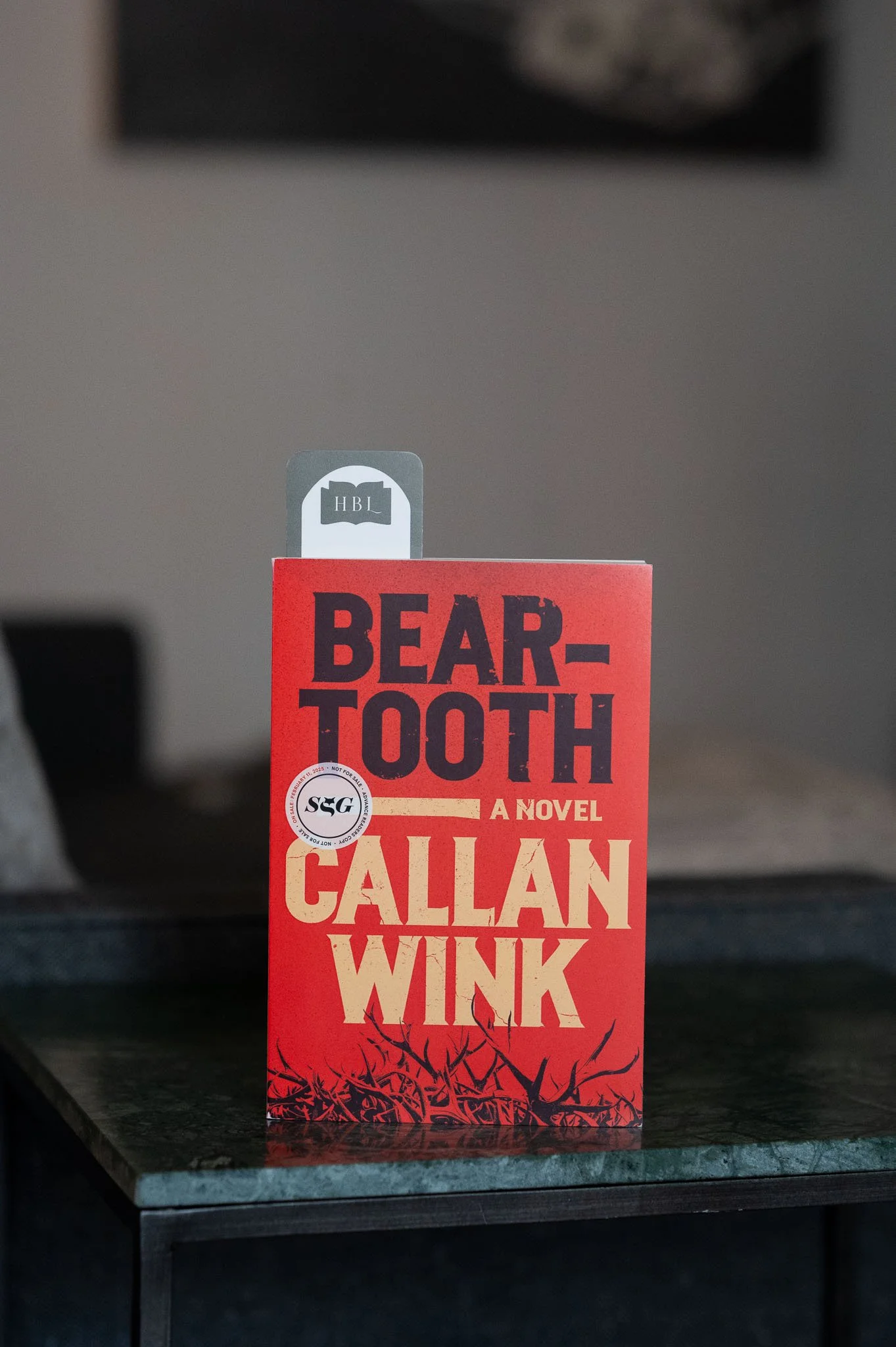 Beartooth by Callan Wink.jpg