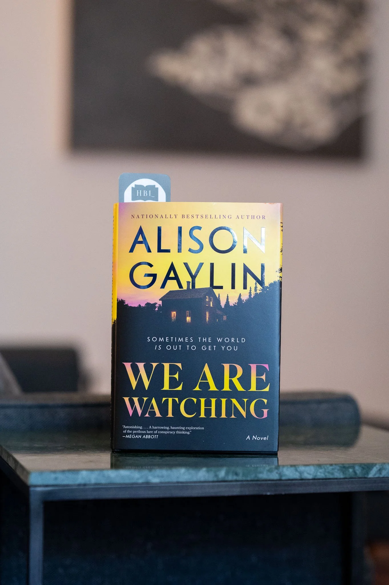 We Are Watching by Alison Gaylin.jpg