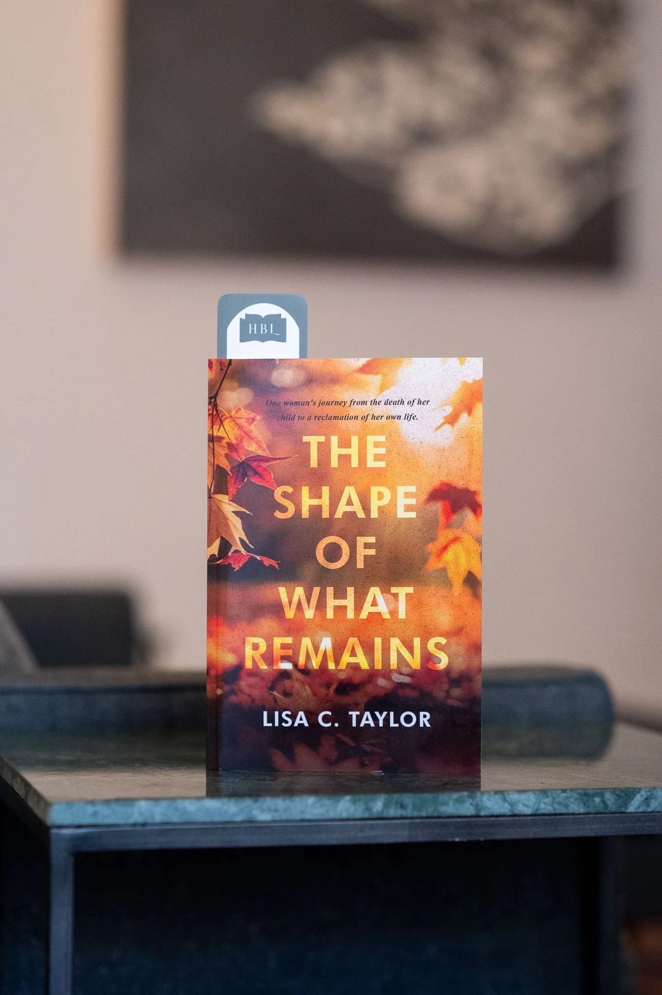 The Shape of What Remains by Lisa C. Taylor.jpg