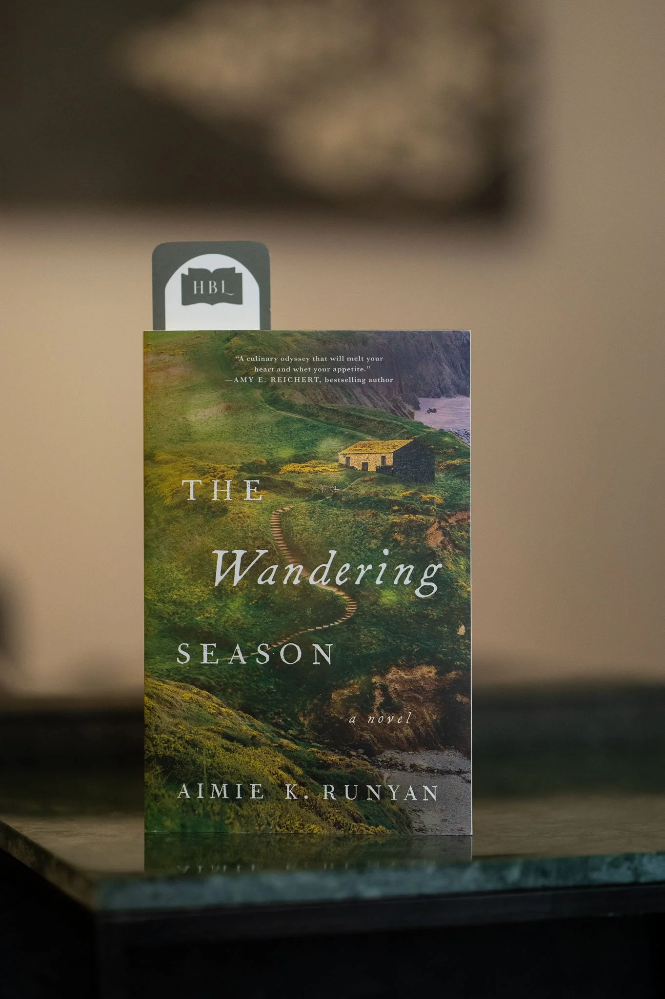 The Wandering Season by Aimie K. Runyan.jpg