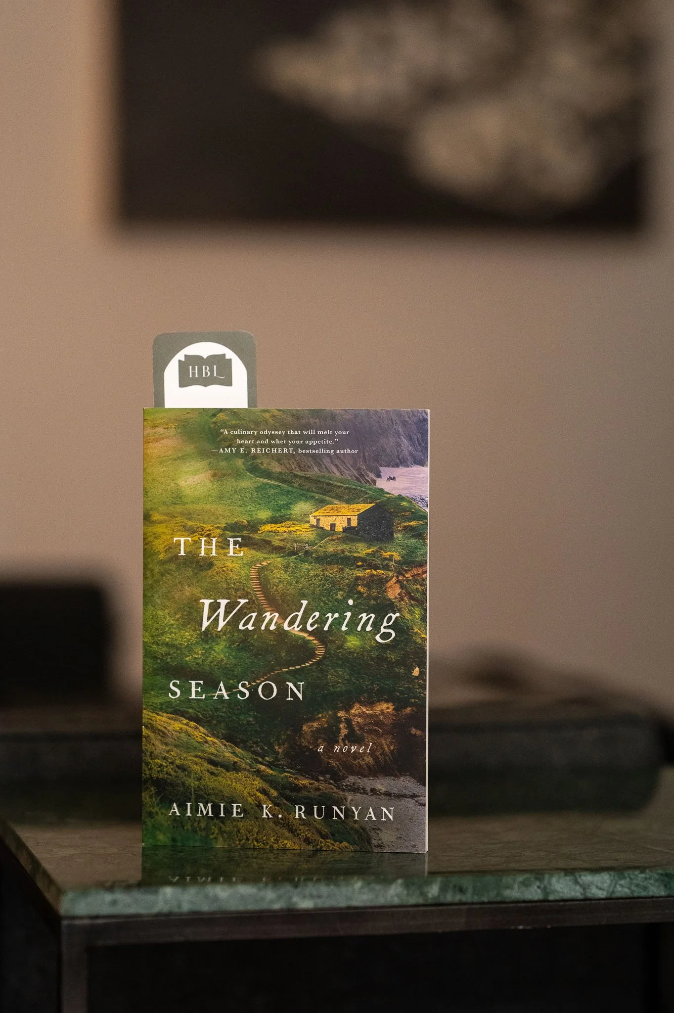 The Wandering Season by Aimie E. Runyan.jpg