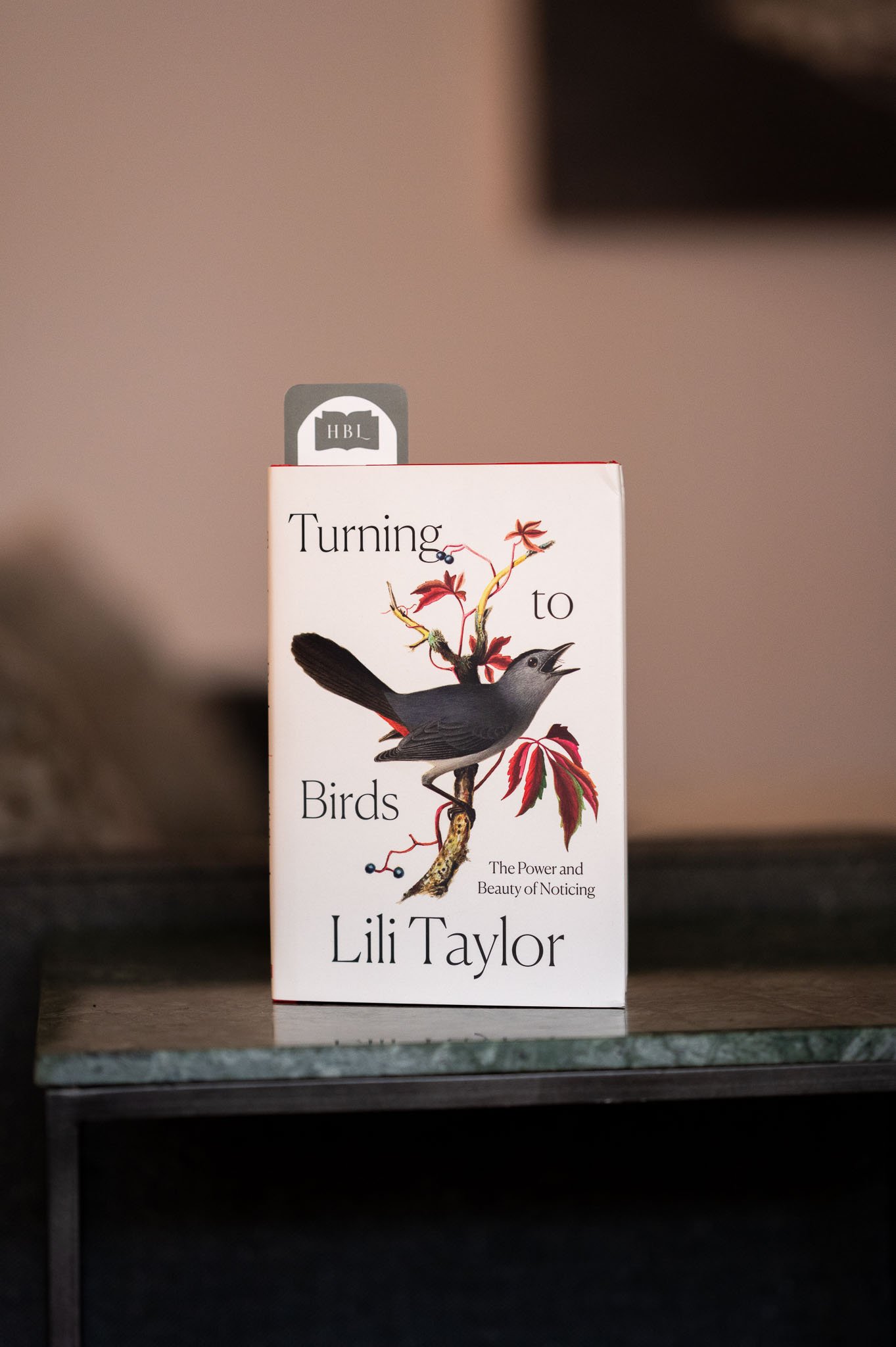 Turning to Birds by Lili Taylor.jpg