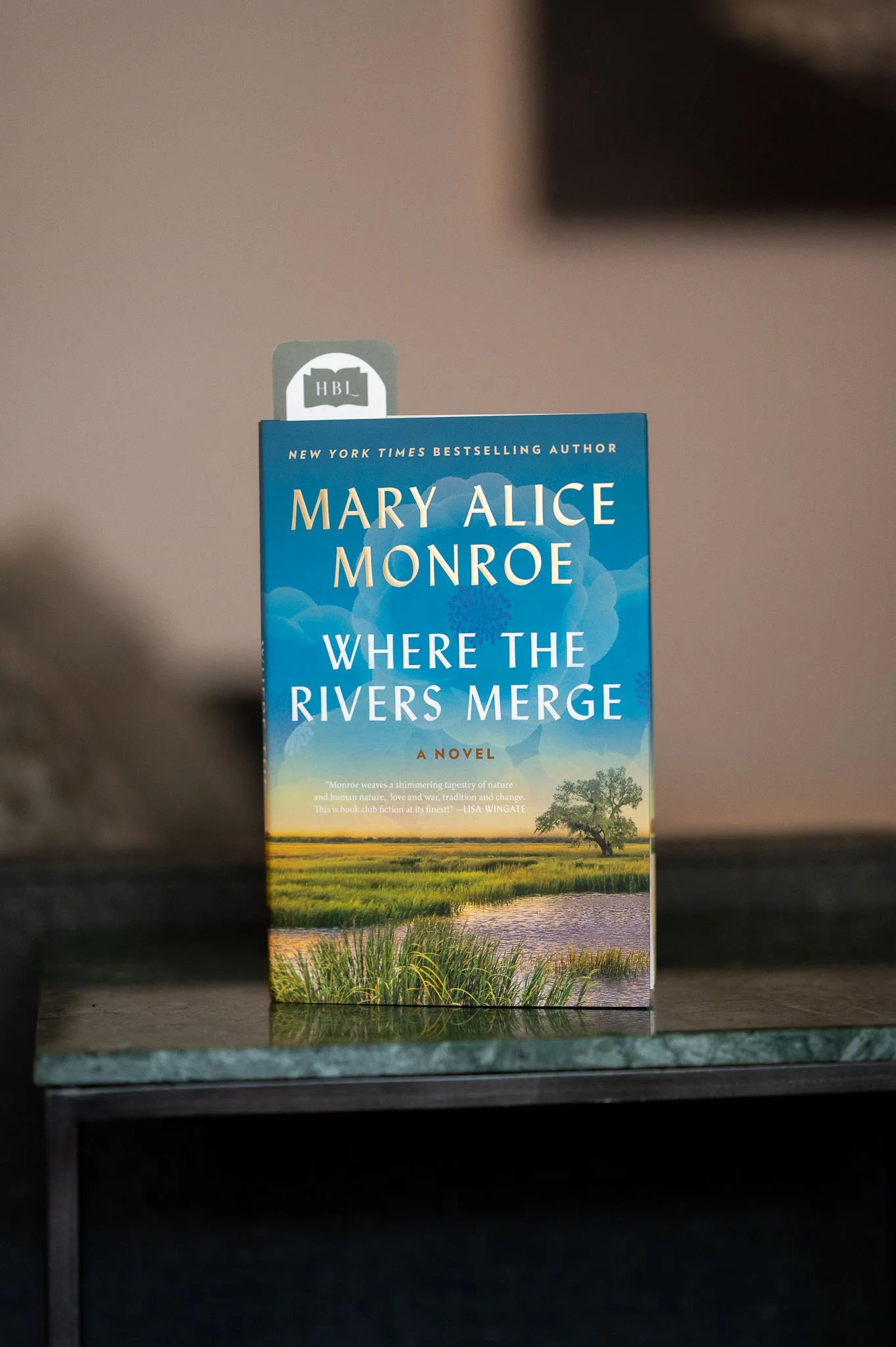 Where the Rivers Merge by Mary Alice Monroe.jpg