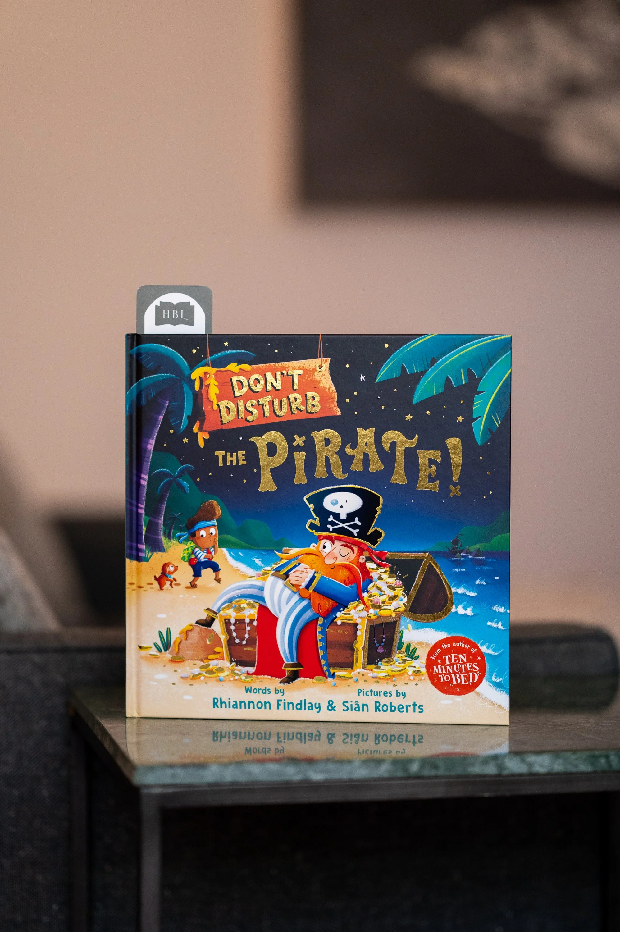 Don't Disturb the Pirate by Rhiannon Findlay .jpg