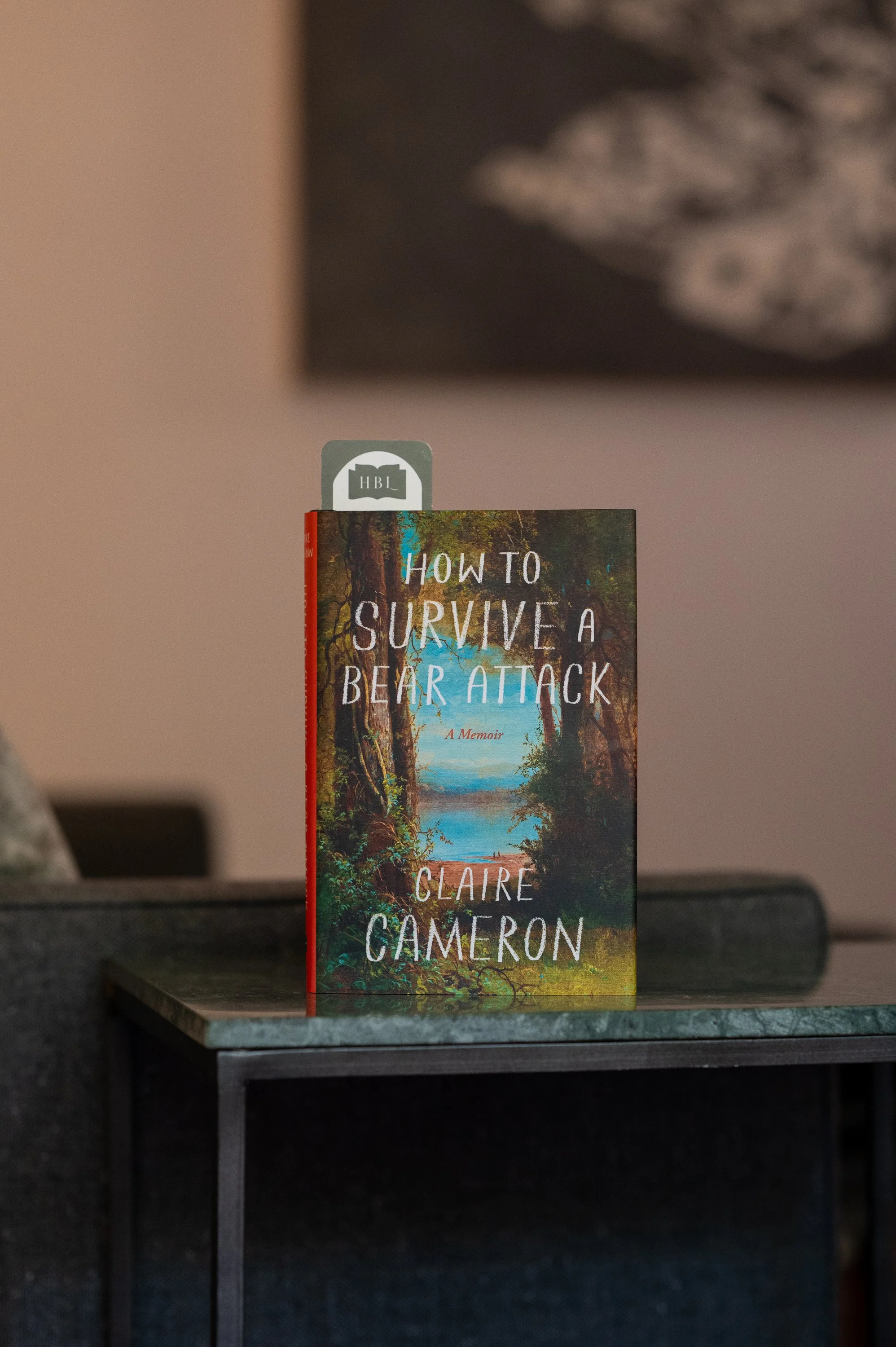 How to Survive a Bear Attack by Claire Cameron.jpg