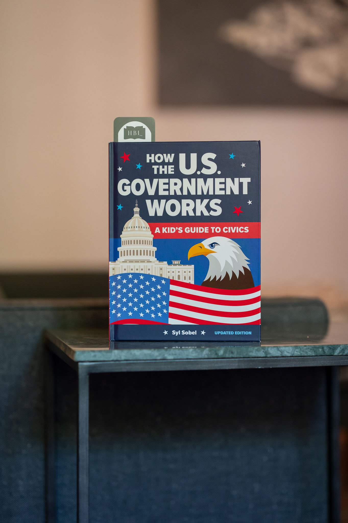 How the Government Works by Syl Sobel.jpg