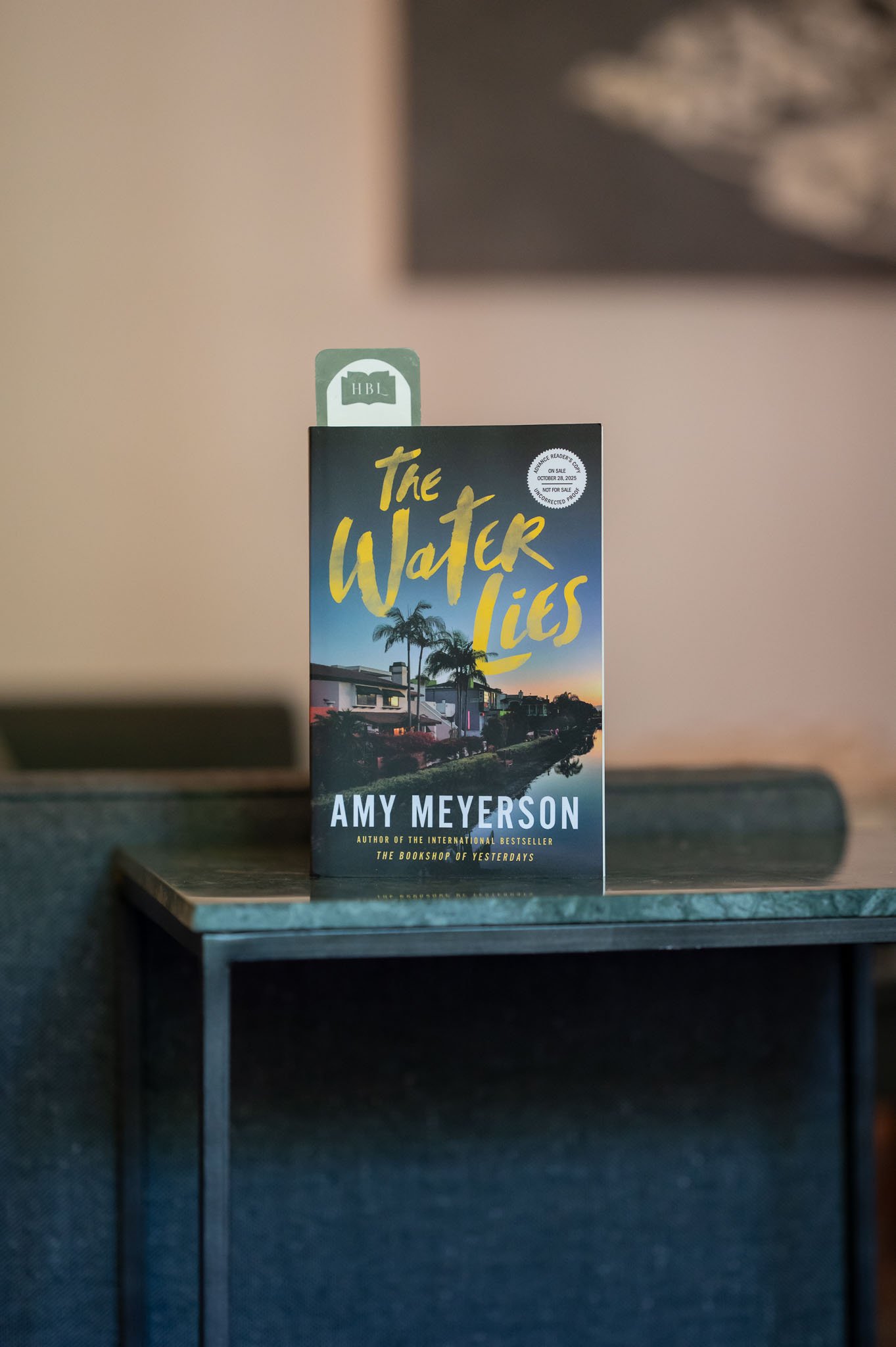 The Water Lies by Amy Meyerson.jpg