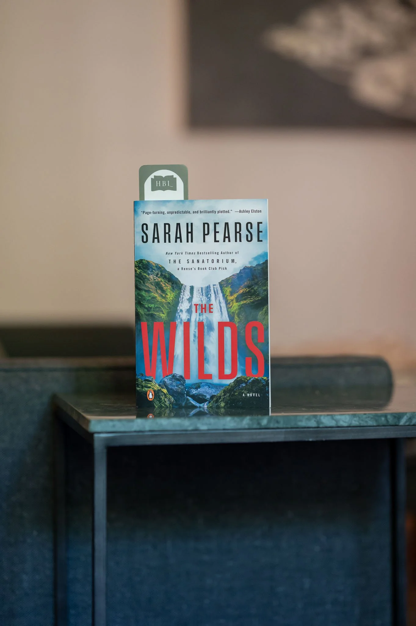 The Wilds by Sarah Pearse.jpg