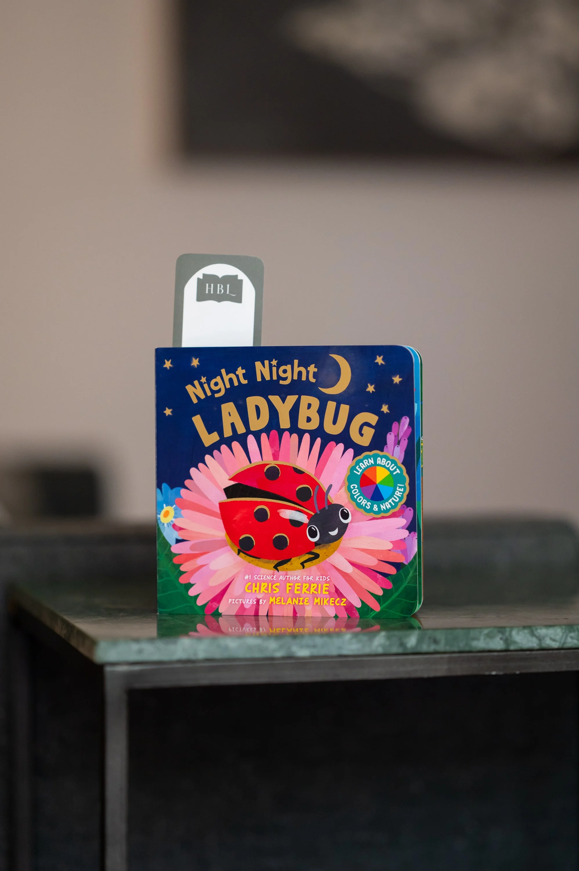 Night Night Ladybug