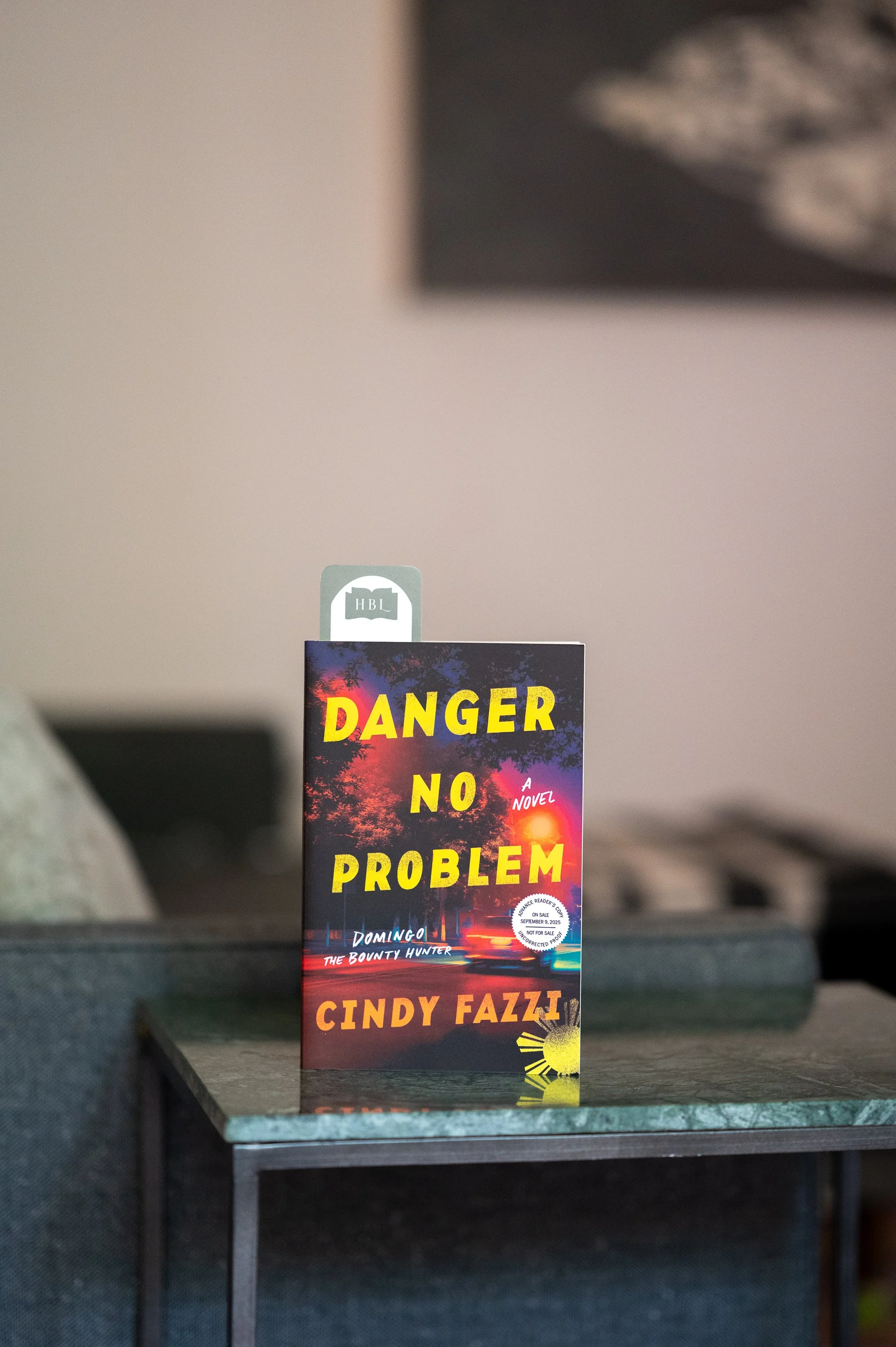 Danger No Problem by Cindy Fazzi.jpg