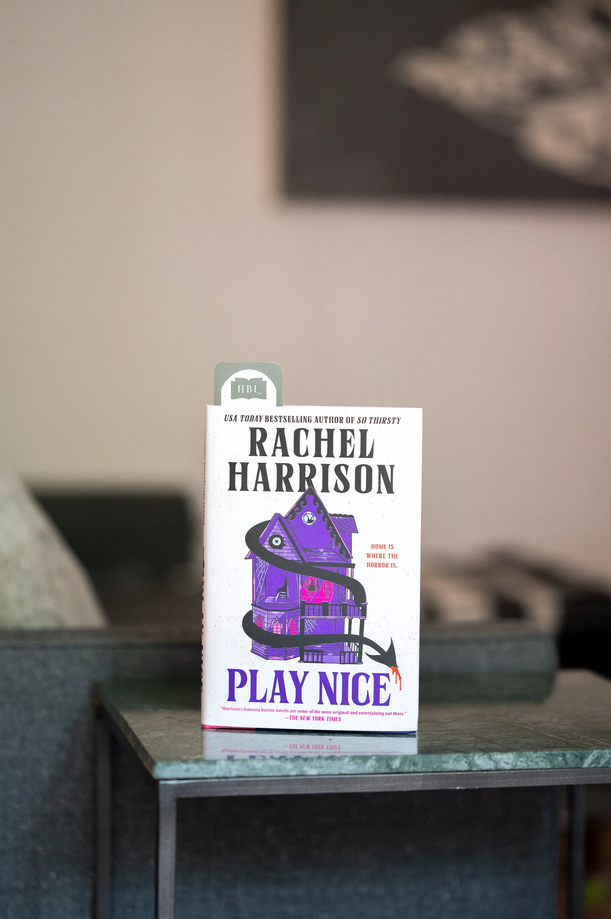 Play Nice by Rachel Harrison.jpg