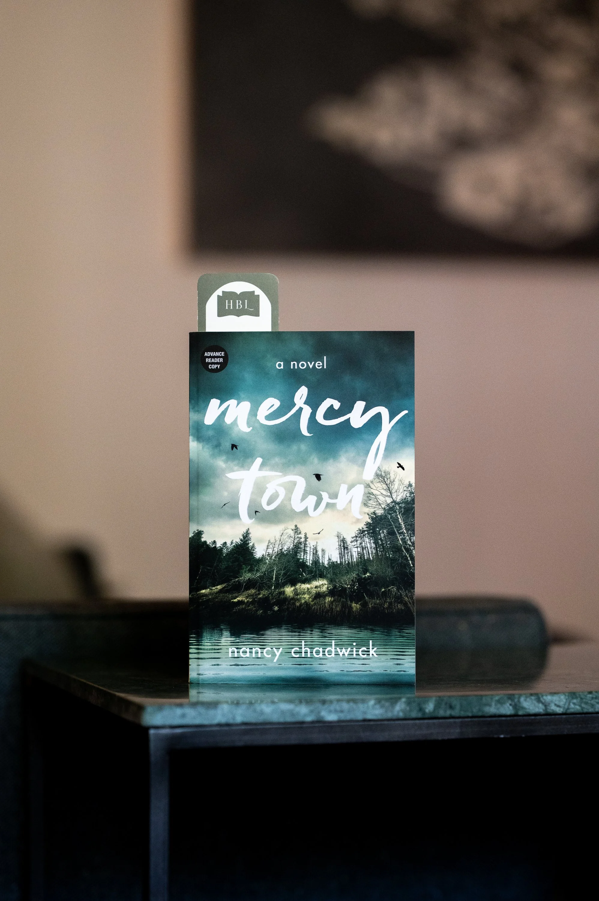 Mercy Town by Nancy Chadwick.jpg