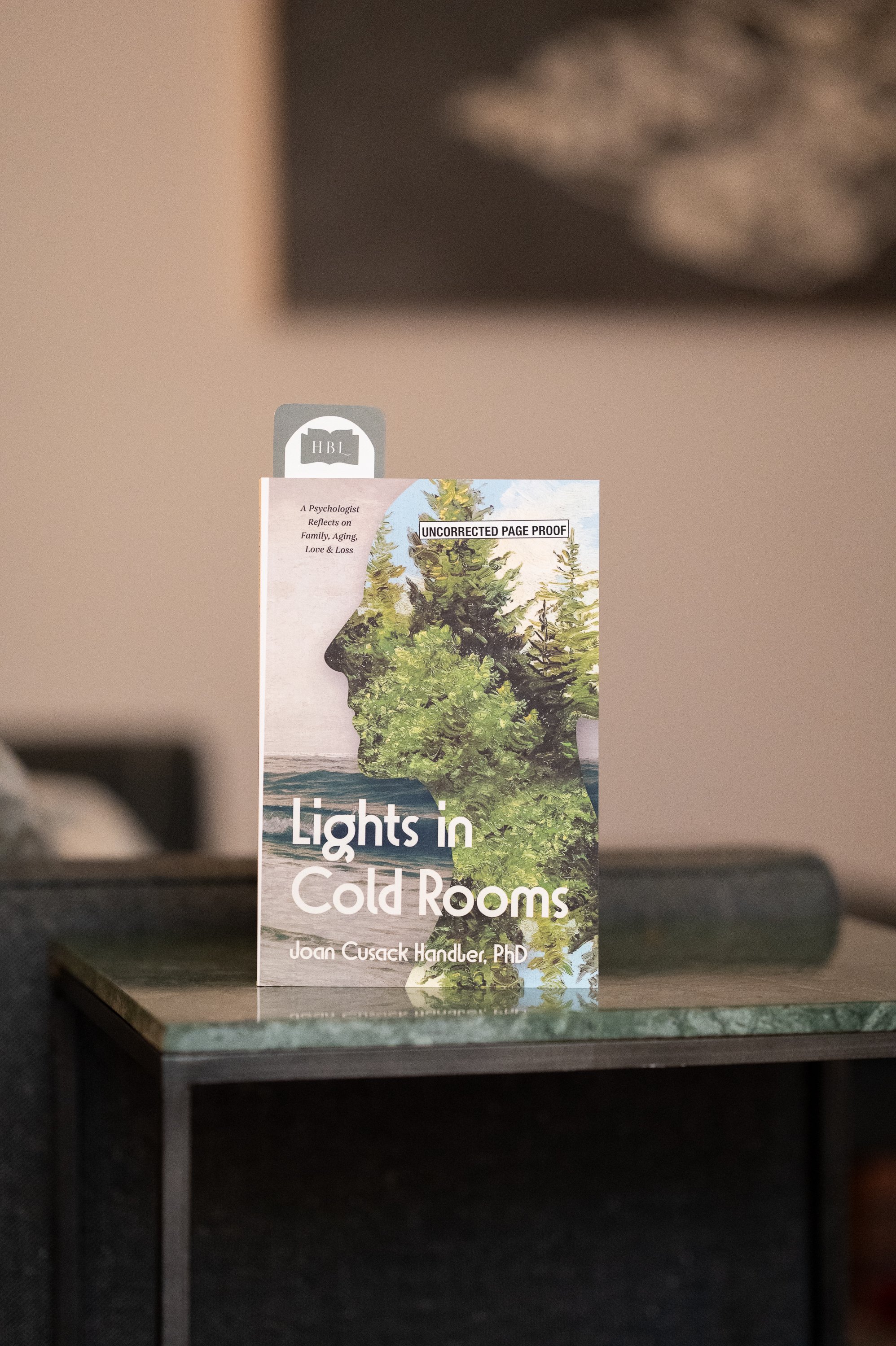 Lights in Cold Rooms by Joan Cusack Handler.jpg