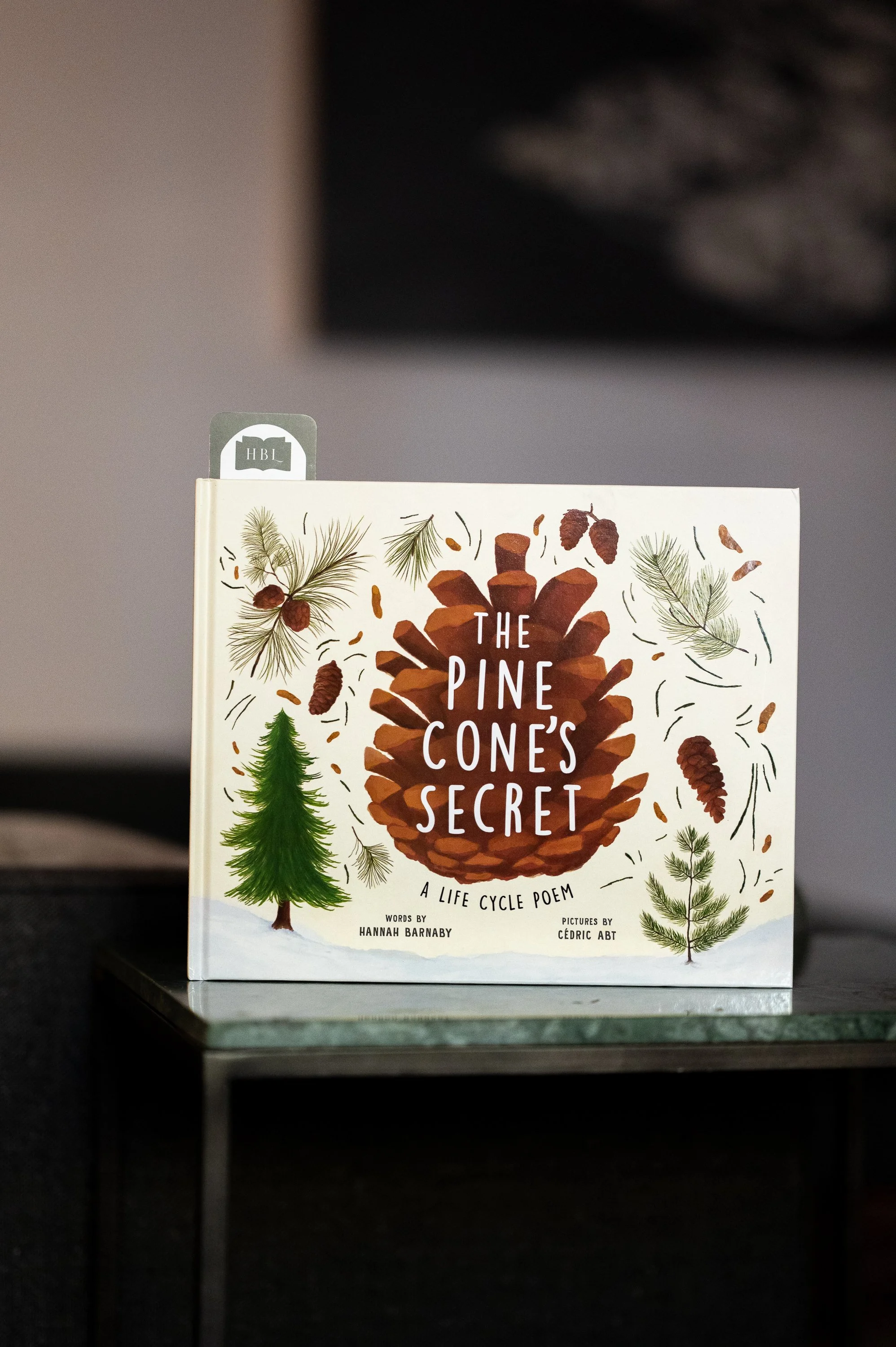 The Pine Cone's Secret by Hannah Barnaby.jpg