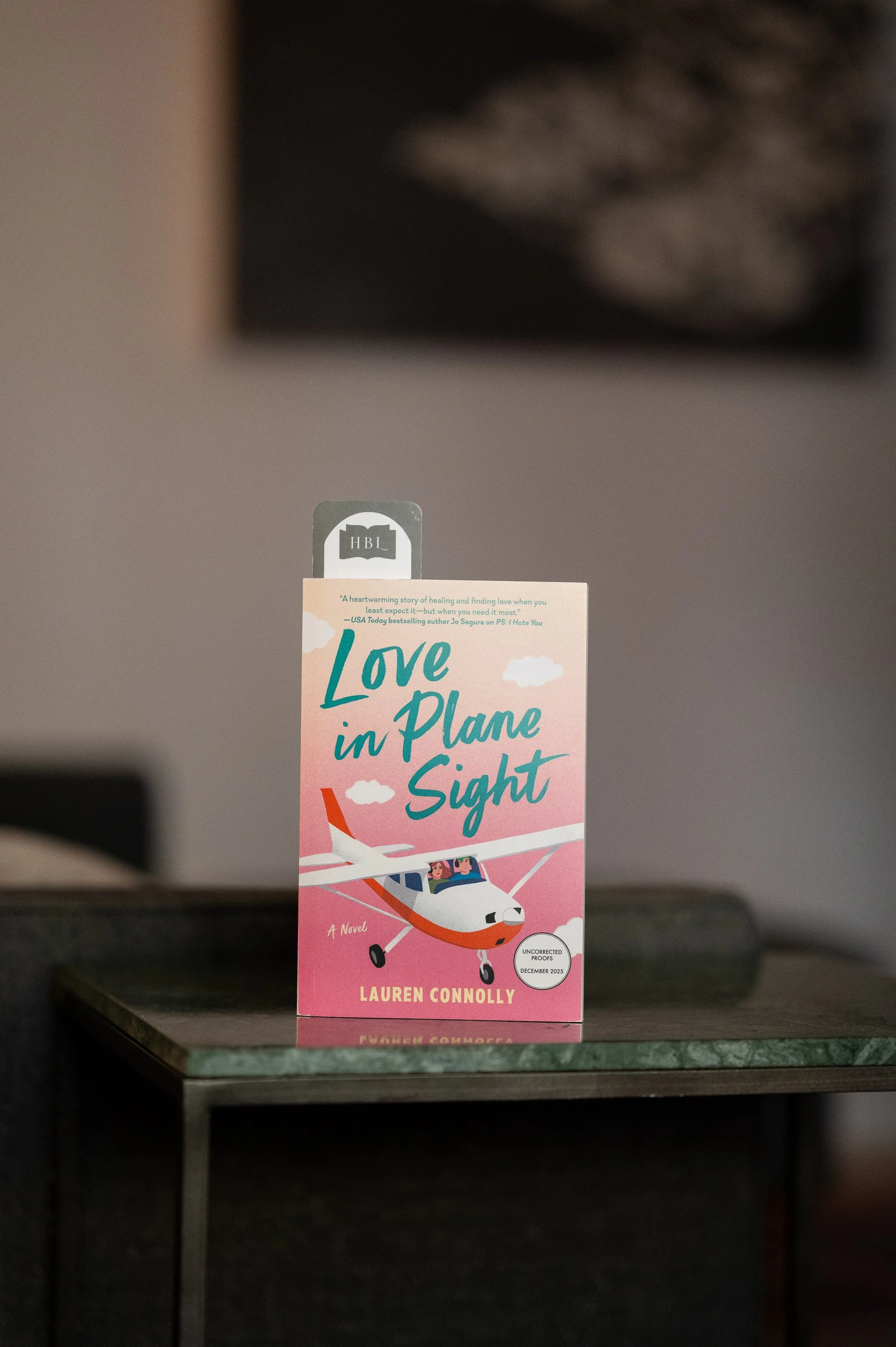 Love in Plane Sight by Lauren Connolly.jpg