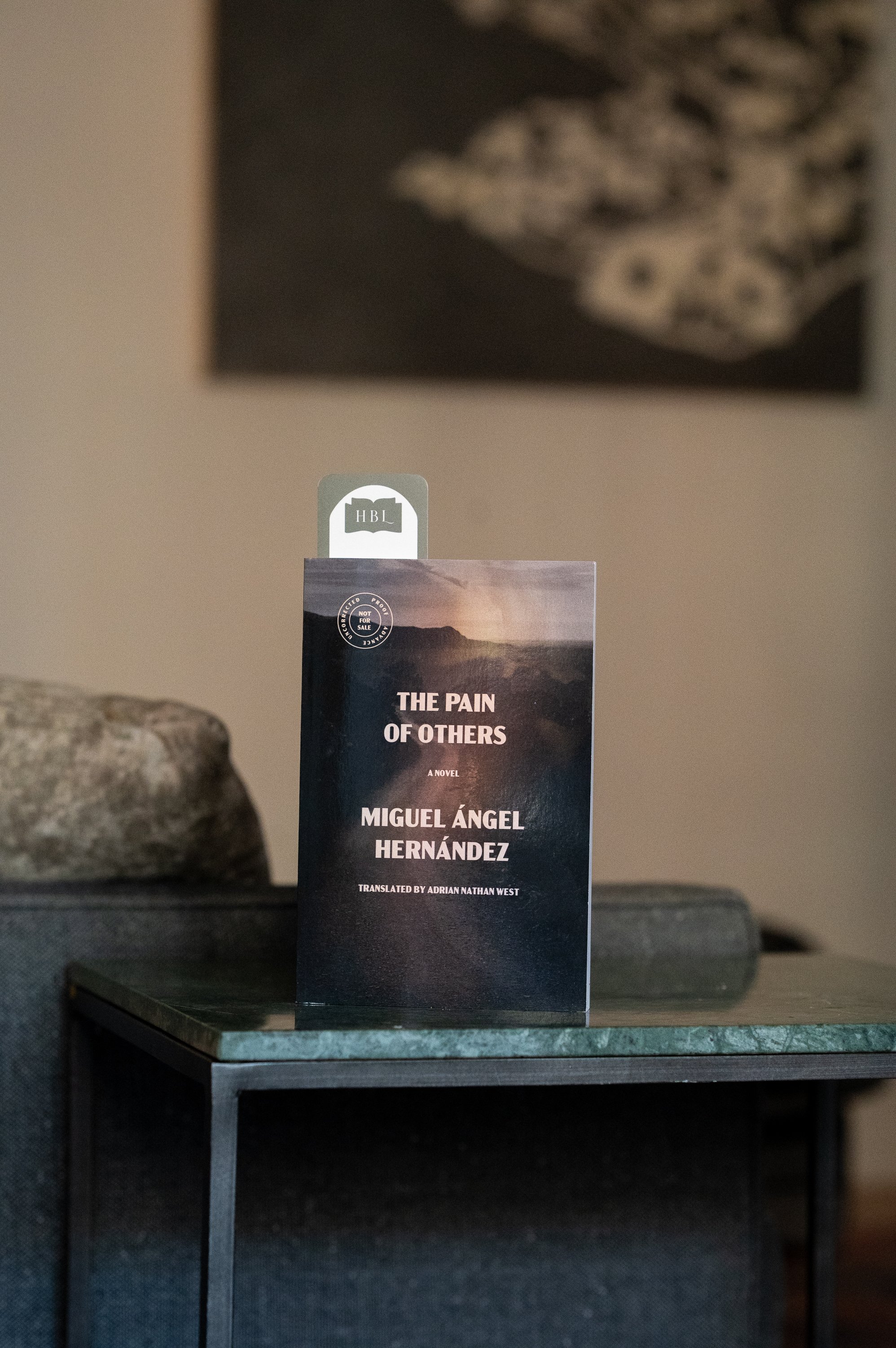 The Pain of Others by Miguel Angel Hernandez.jpg