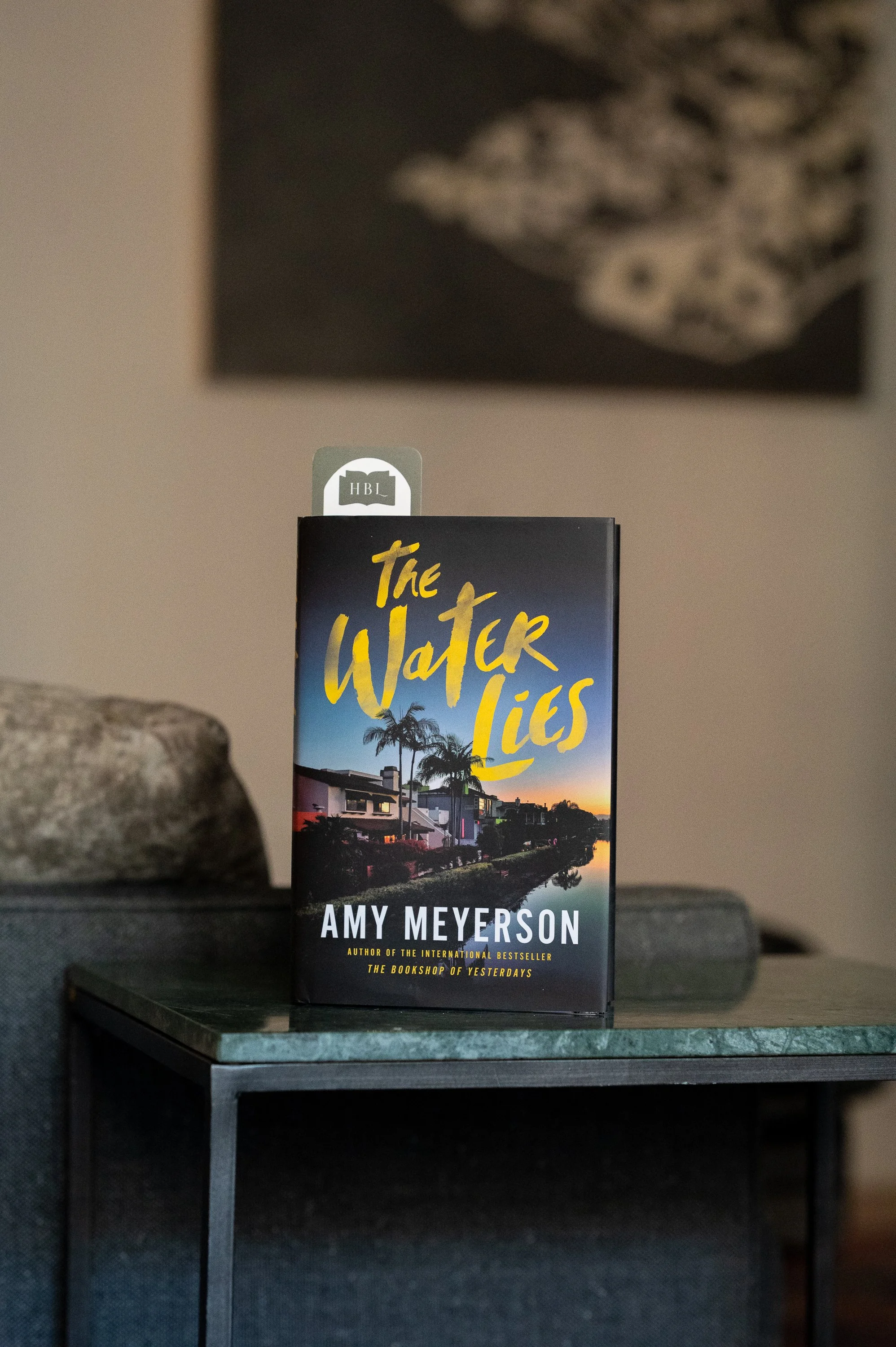 The Water Lies by Amy Meyerson-2.jpg