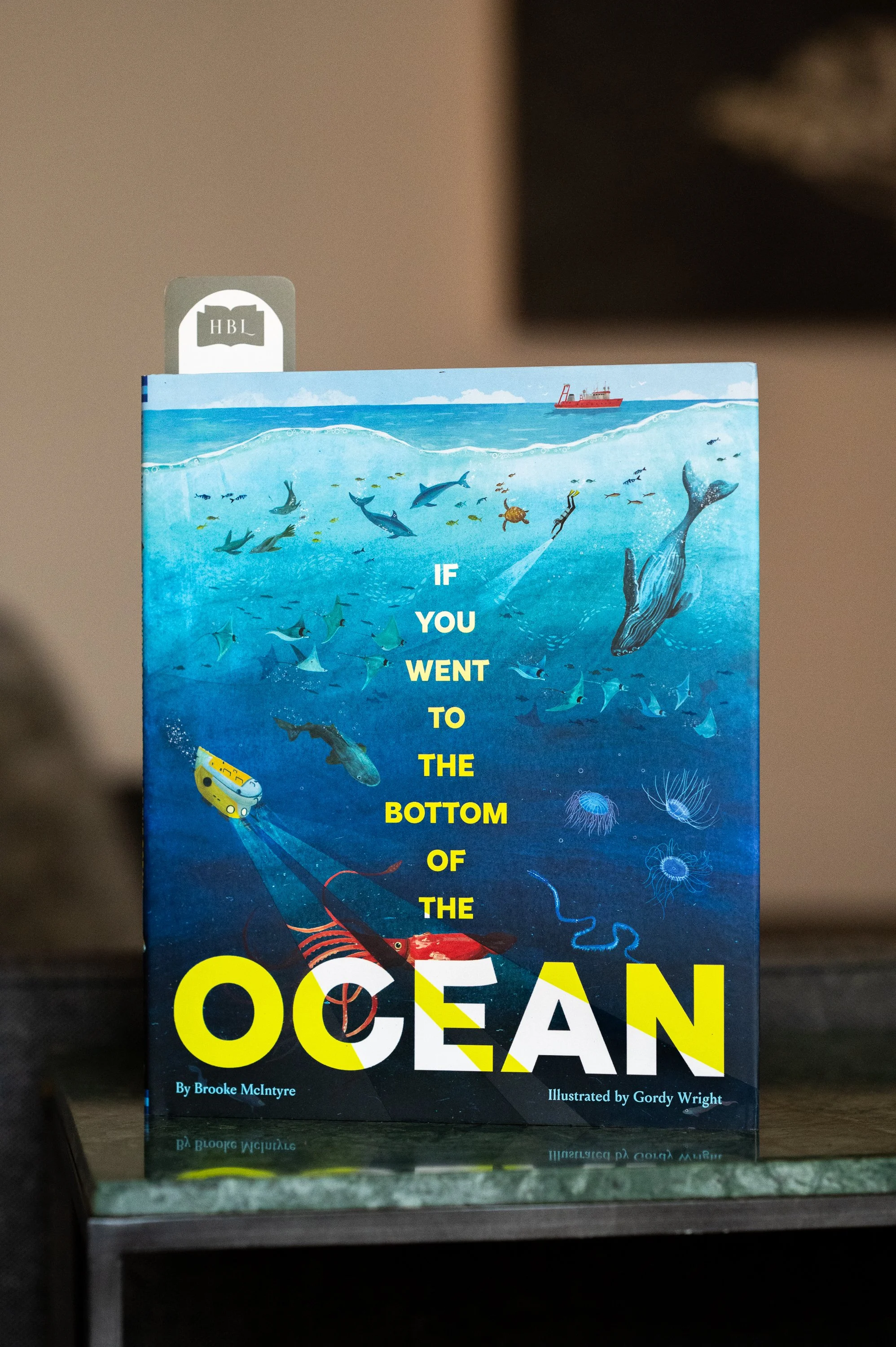 If You Went to the Bottom of the Ocean by Brooke McIntyre and Gordy Wright.jpg