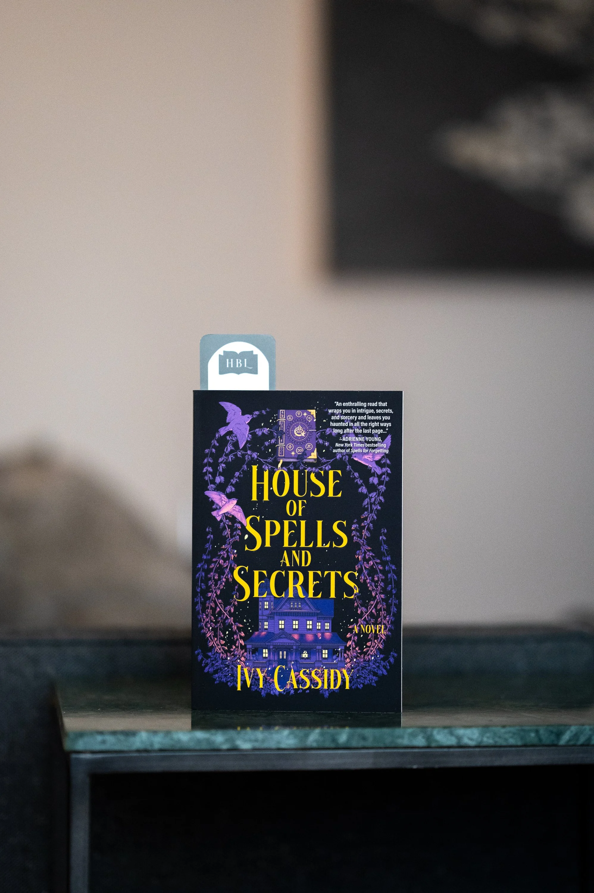 House of Spells and Secrets by Ivy Cassidy.jpg