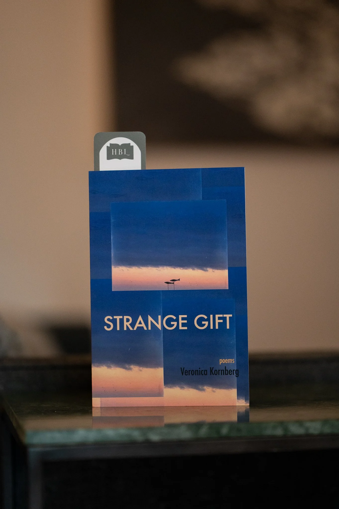 Strange Gift by Veronica Kornberg-1.jpg