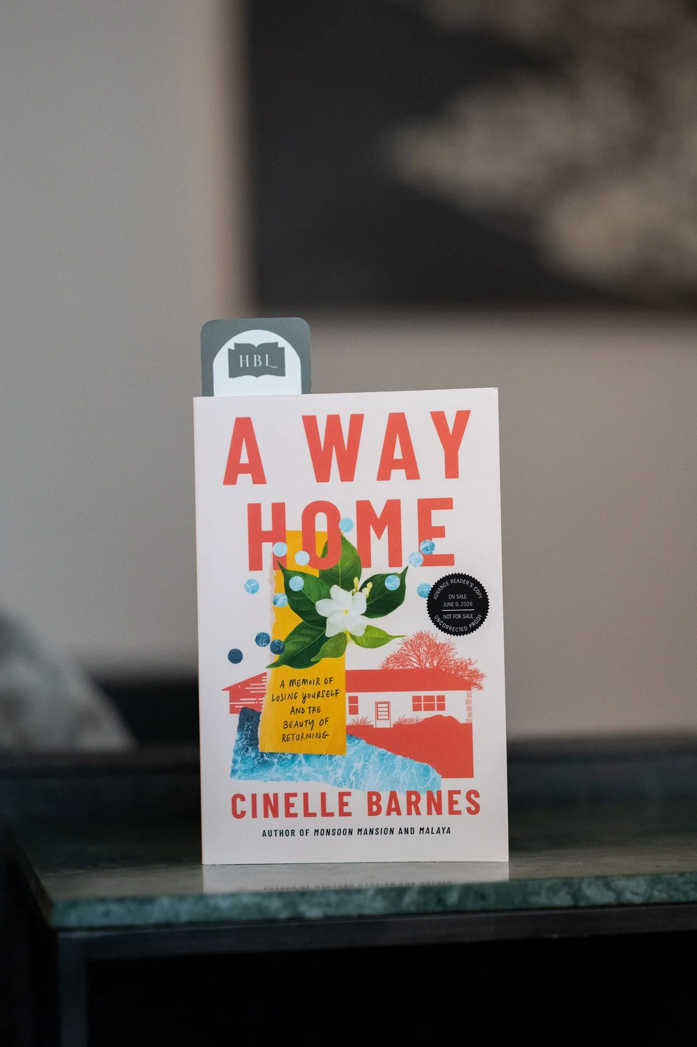 A Way Home by Cinelle Barnes-1.jpg