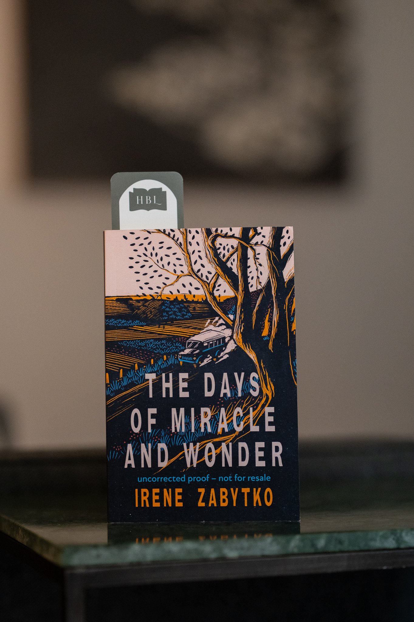 The Days of Miracle and Wonder by Irene Zabytko.jpg