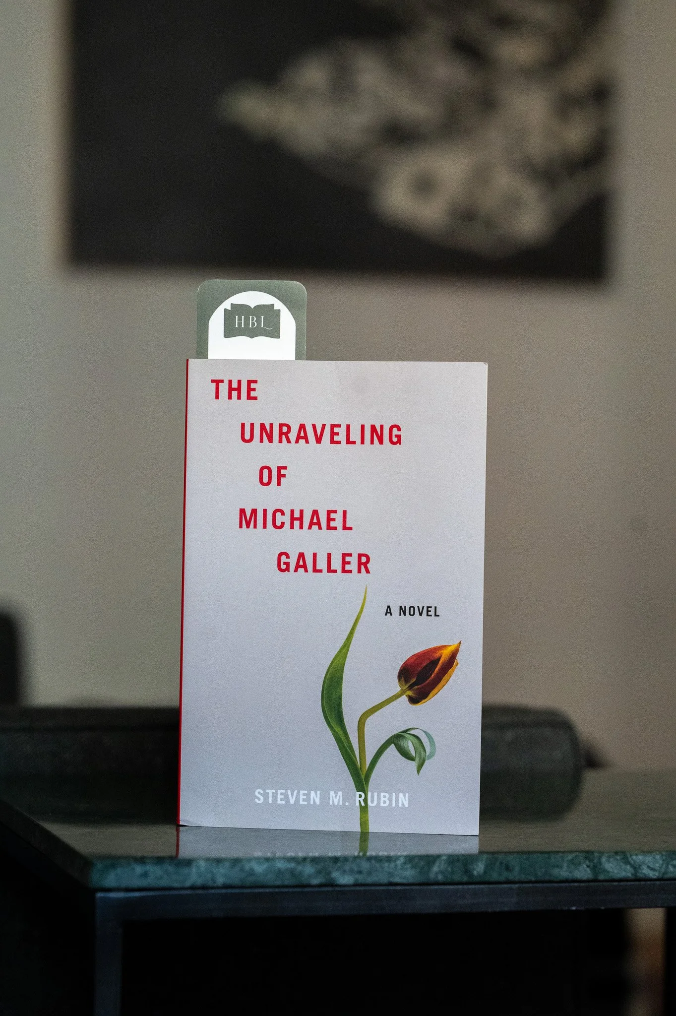 The Unraveling of Michael Galler by Steven M. Rubin.jpg