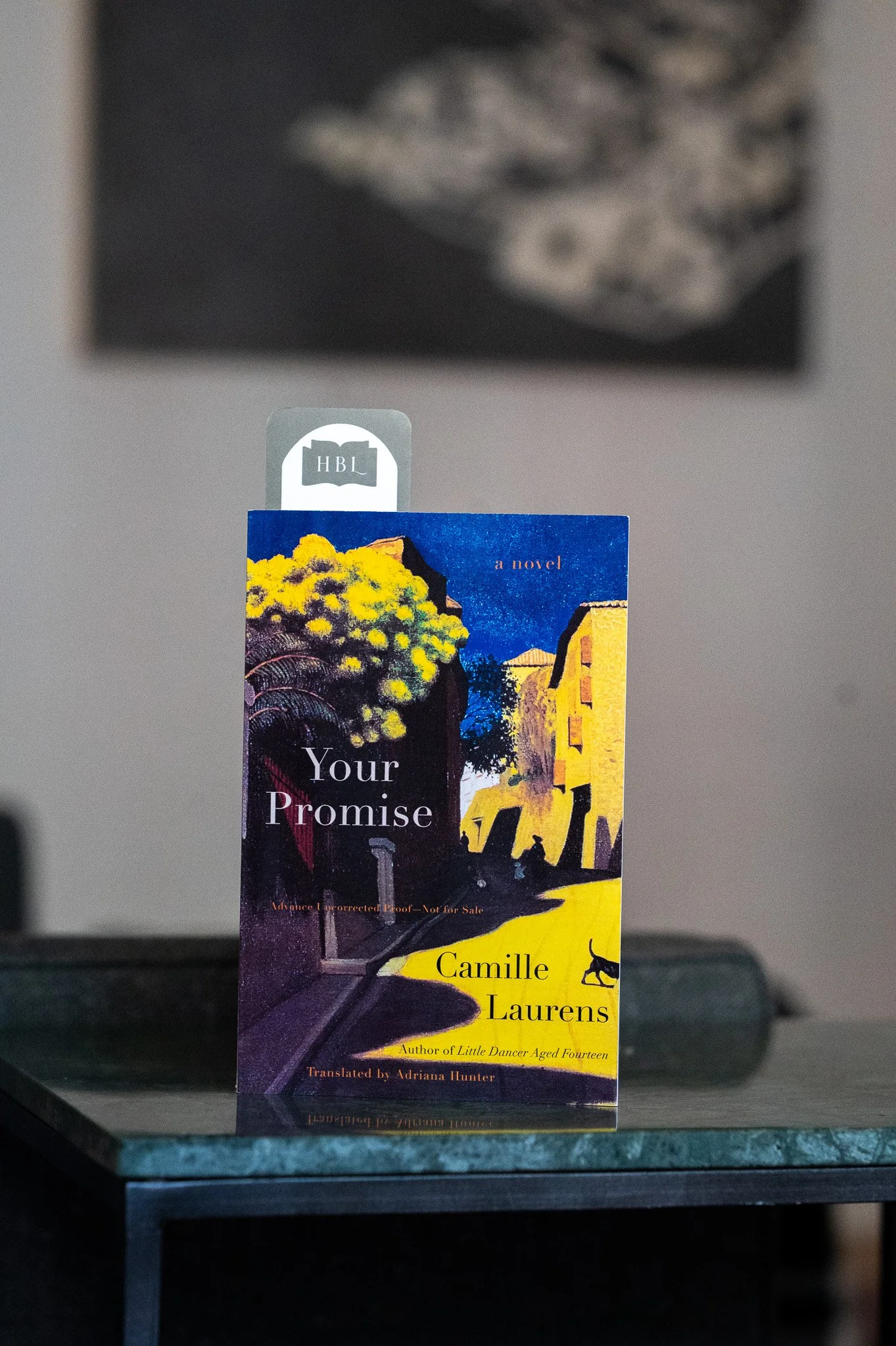 Your Promise by Camille Laurens.jpg