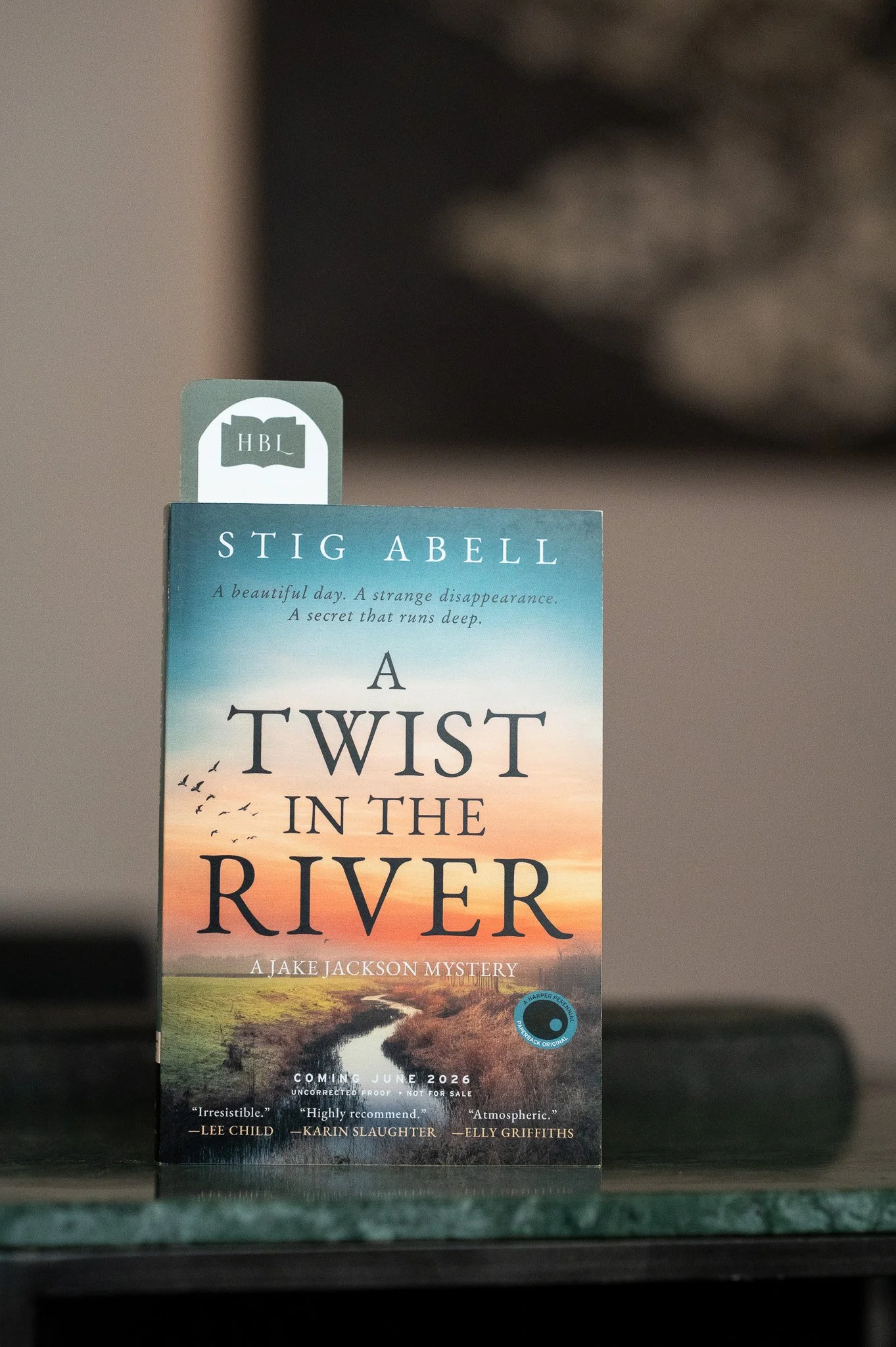 A Twist in the River by Stig Abell.jpg