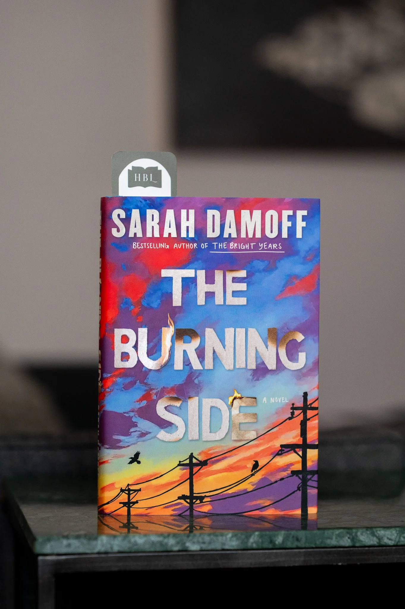 The Burning Side by Sarah Damoff.jpg