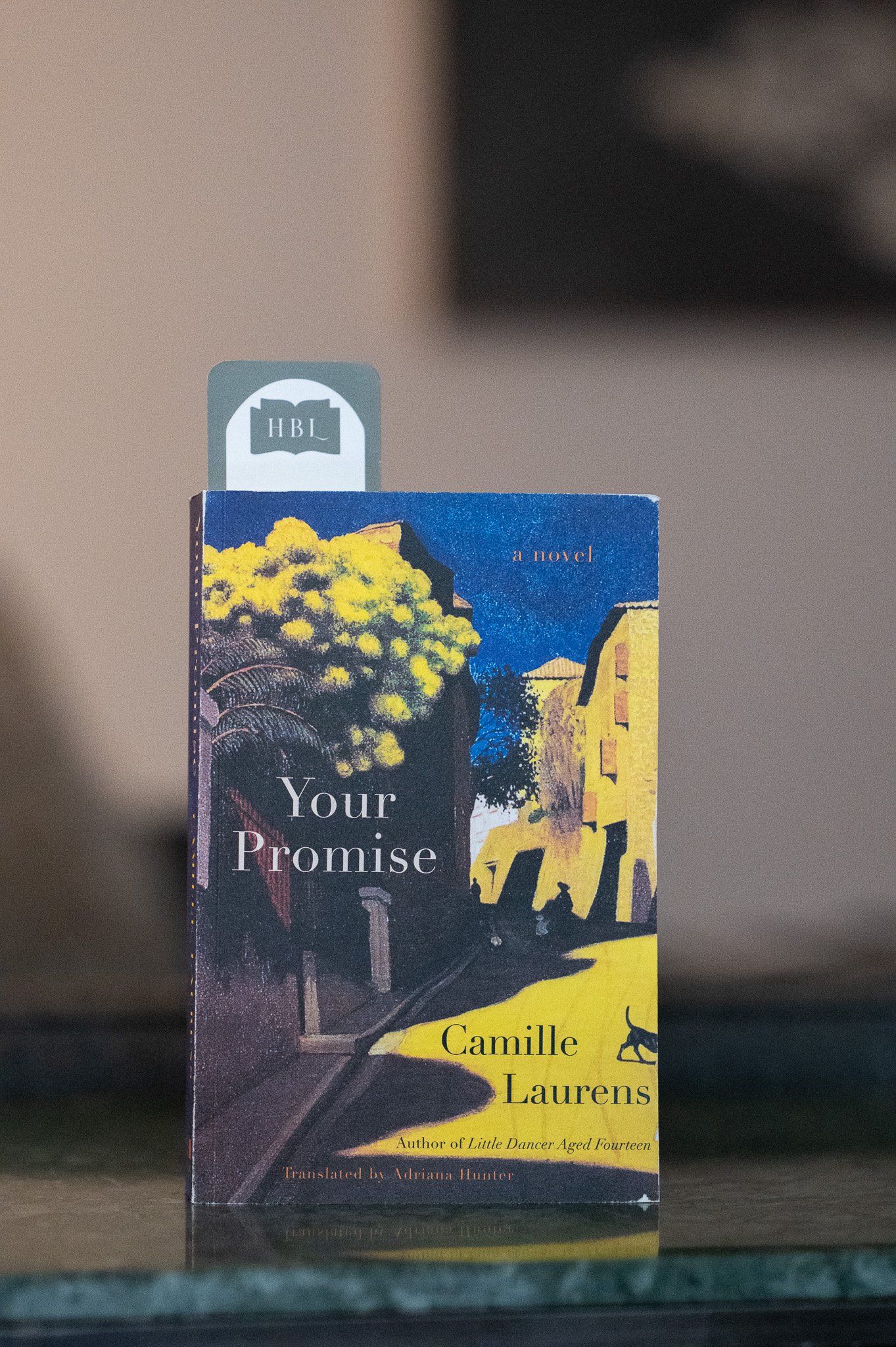 Your Promise by Camille Laurens.jpg