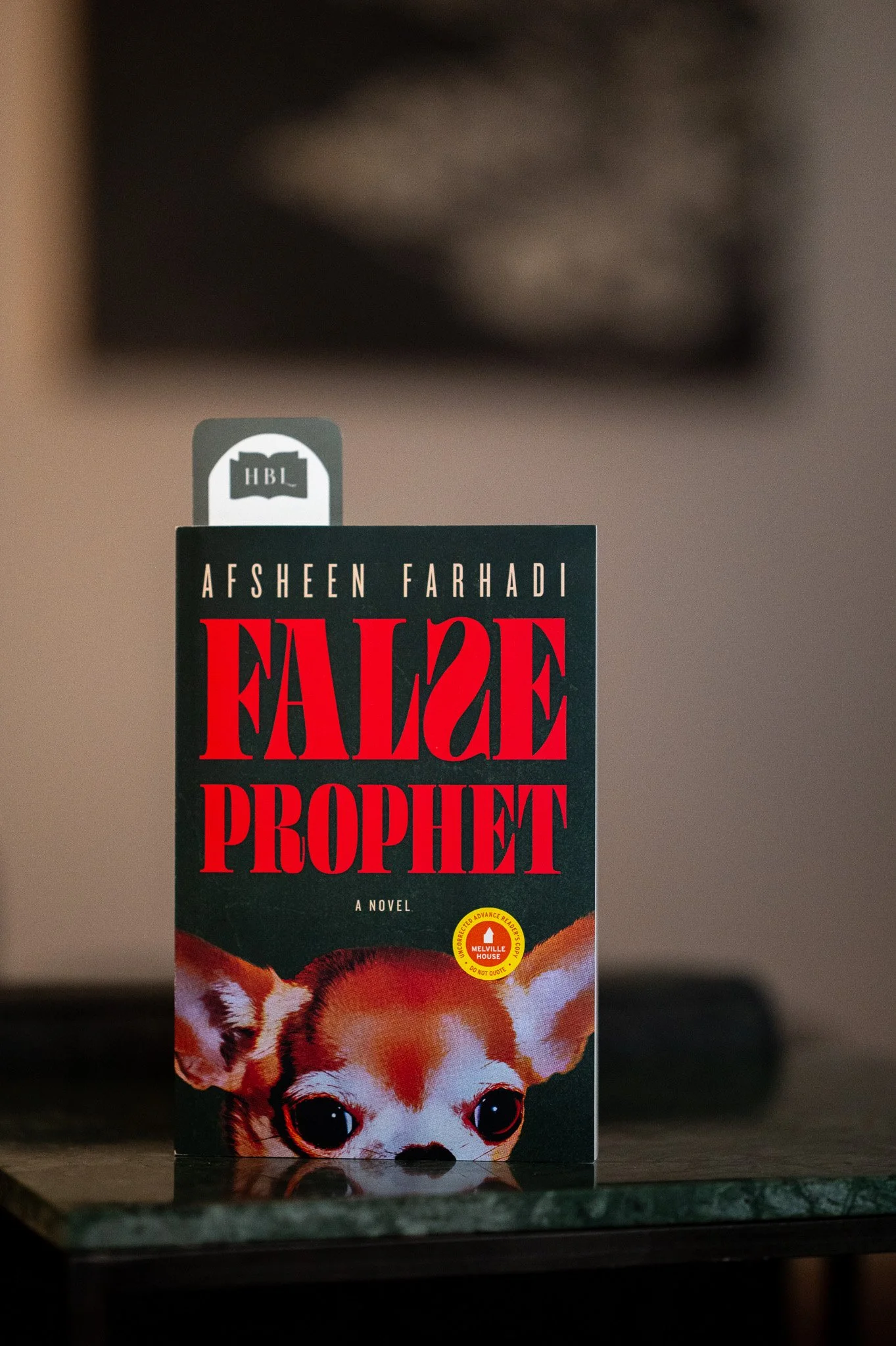 False Prophet by Afsheen Farhadi.jpg
