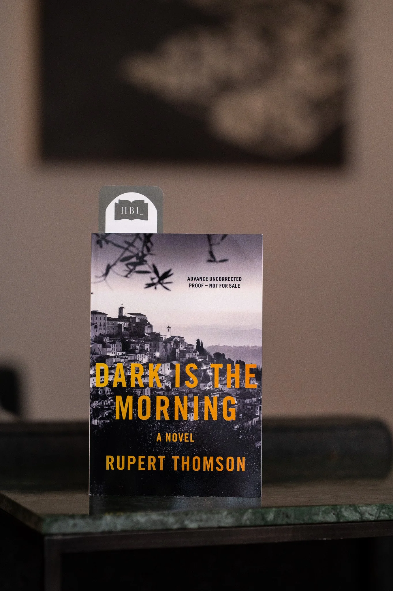 Dark is the Morning by Rupert Thompson.jpg
