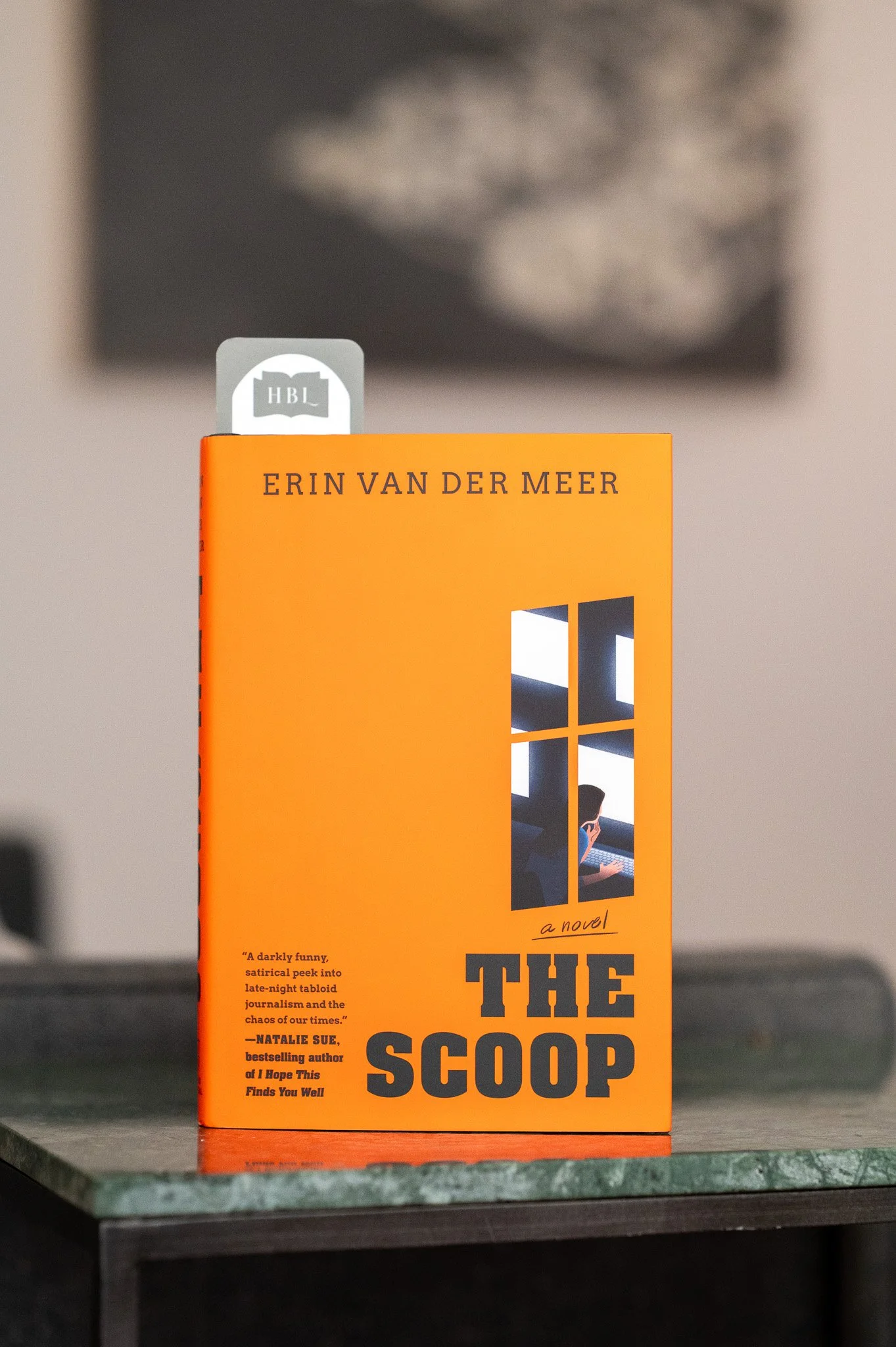 The Scoop by Erin Van Der Meer.jpg