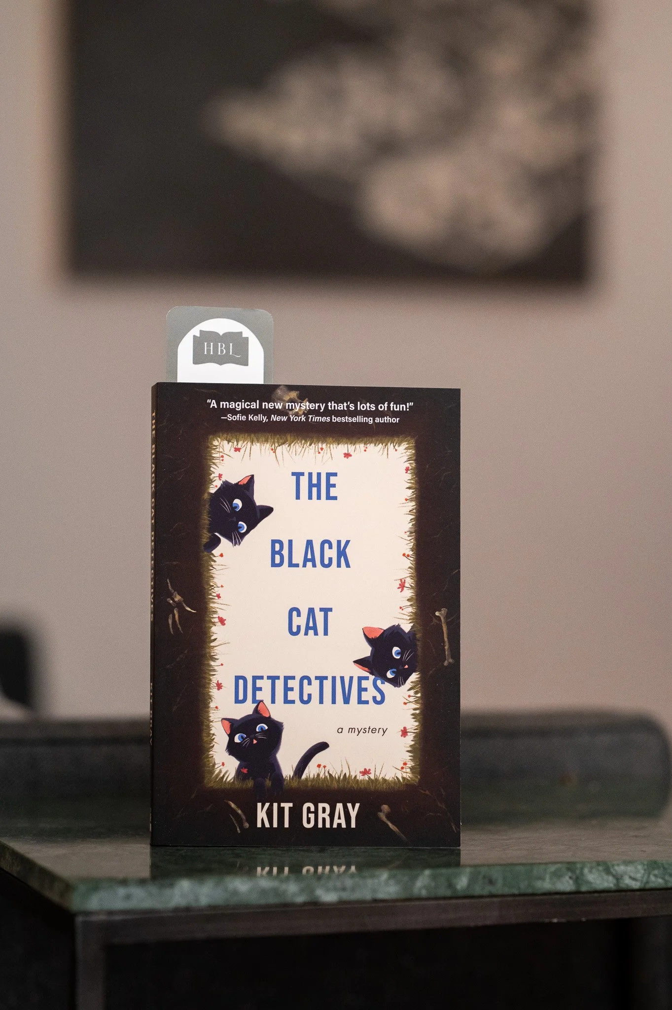 The Black Cat Detectives by Kit Gray.jpg