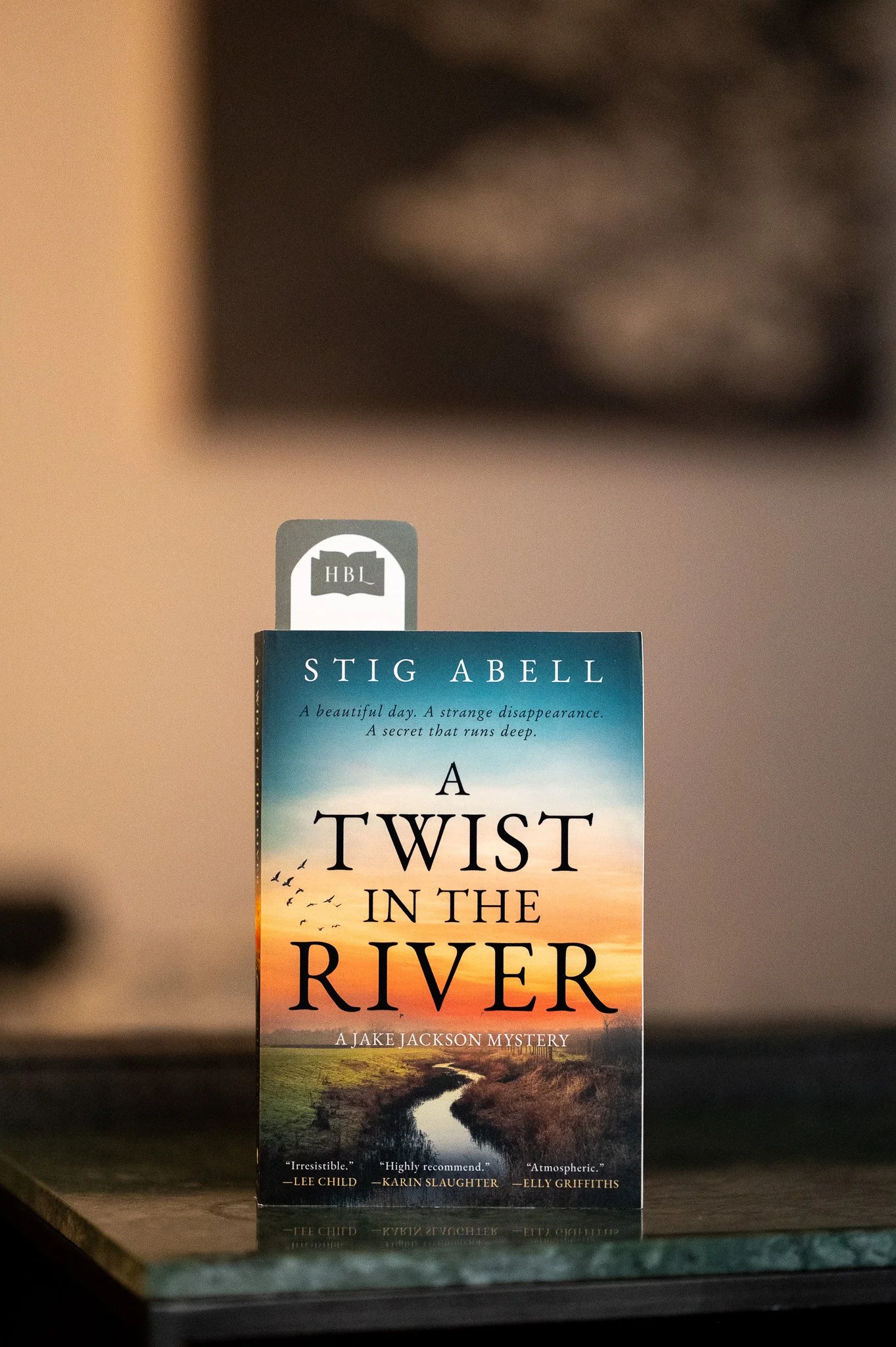 A Twist in the River by Stig Abell.jpg