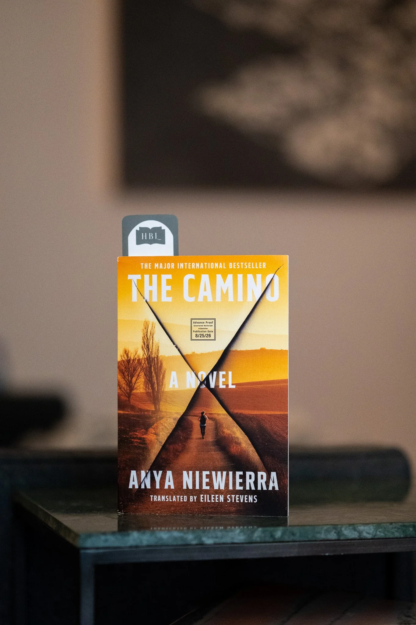 The Camino by Anya Niewierra.jpg