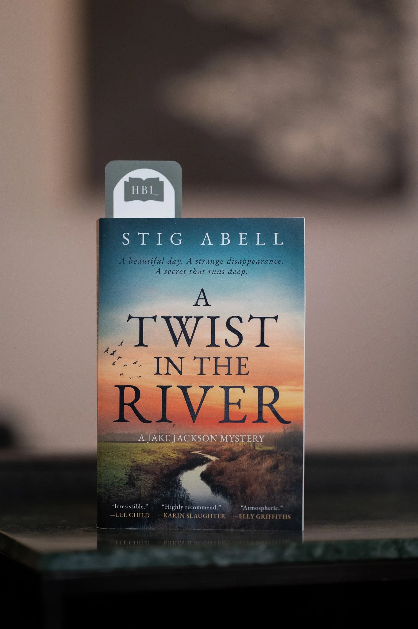 A Twist in the River by Stig Abell.jpg