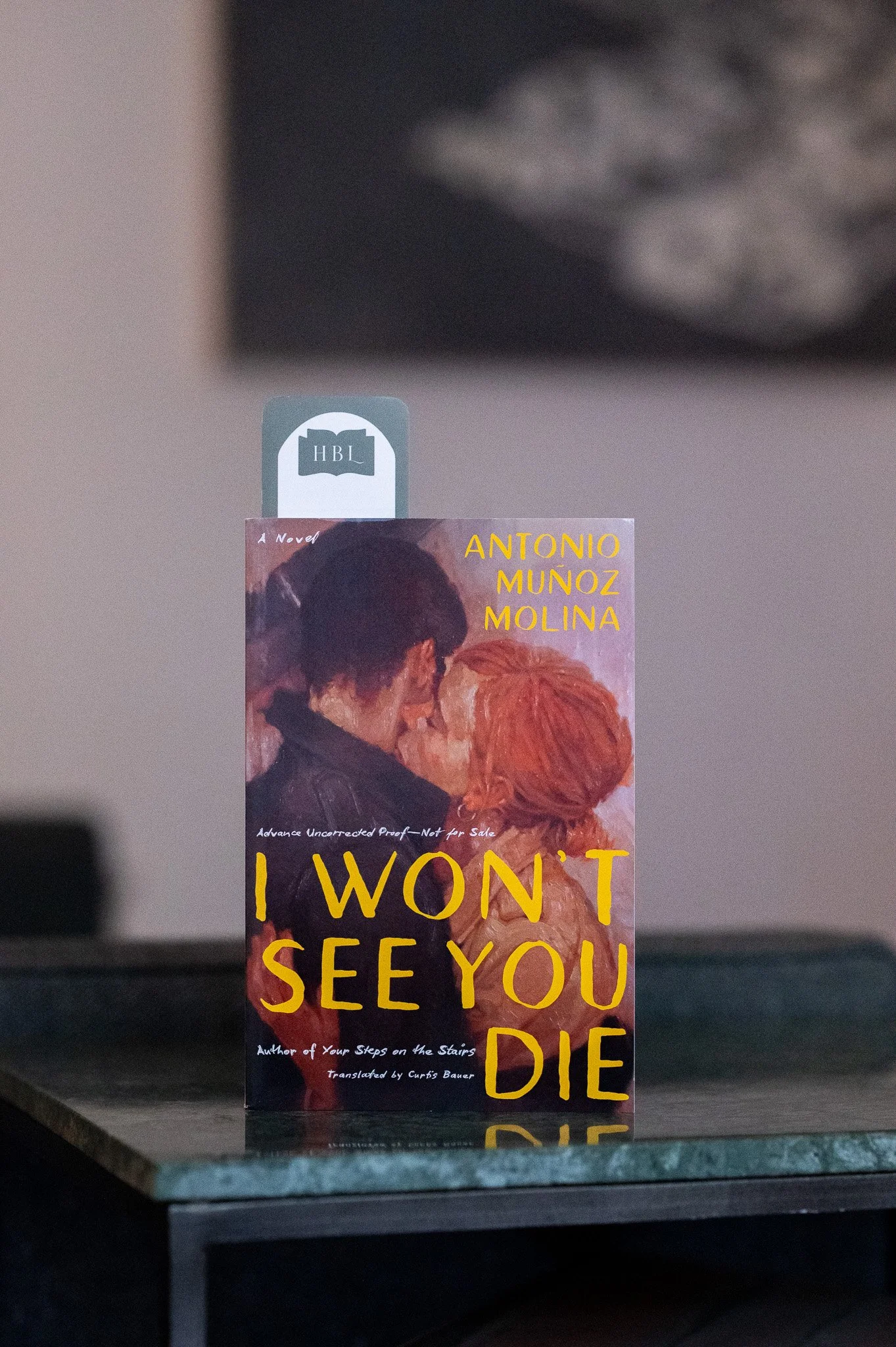 I Won't See You Die by Antonia Munoz Molina.jpg