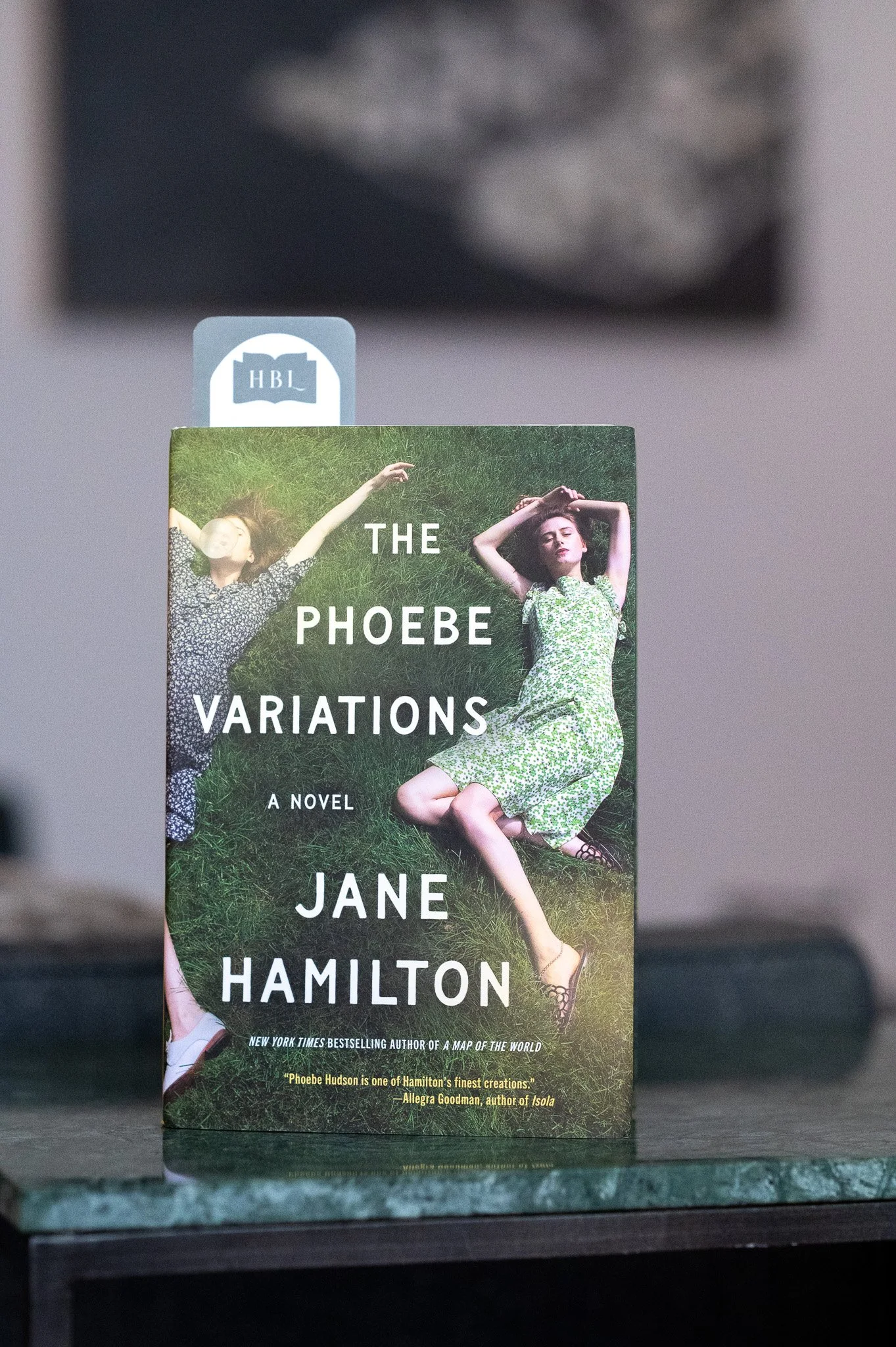 The Phoebe Variations by Jane Hamilton.jpg