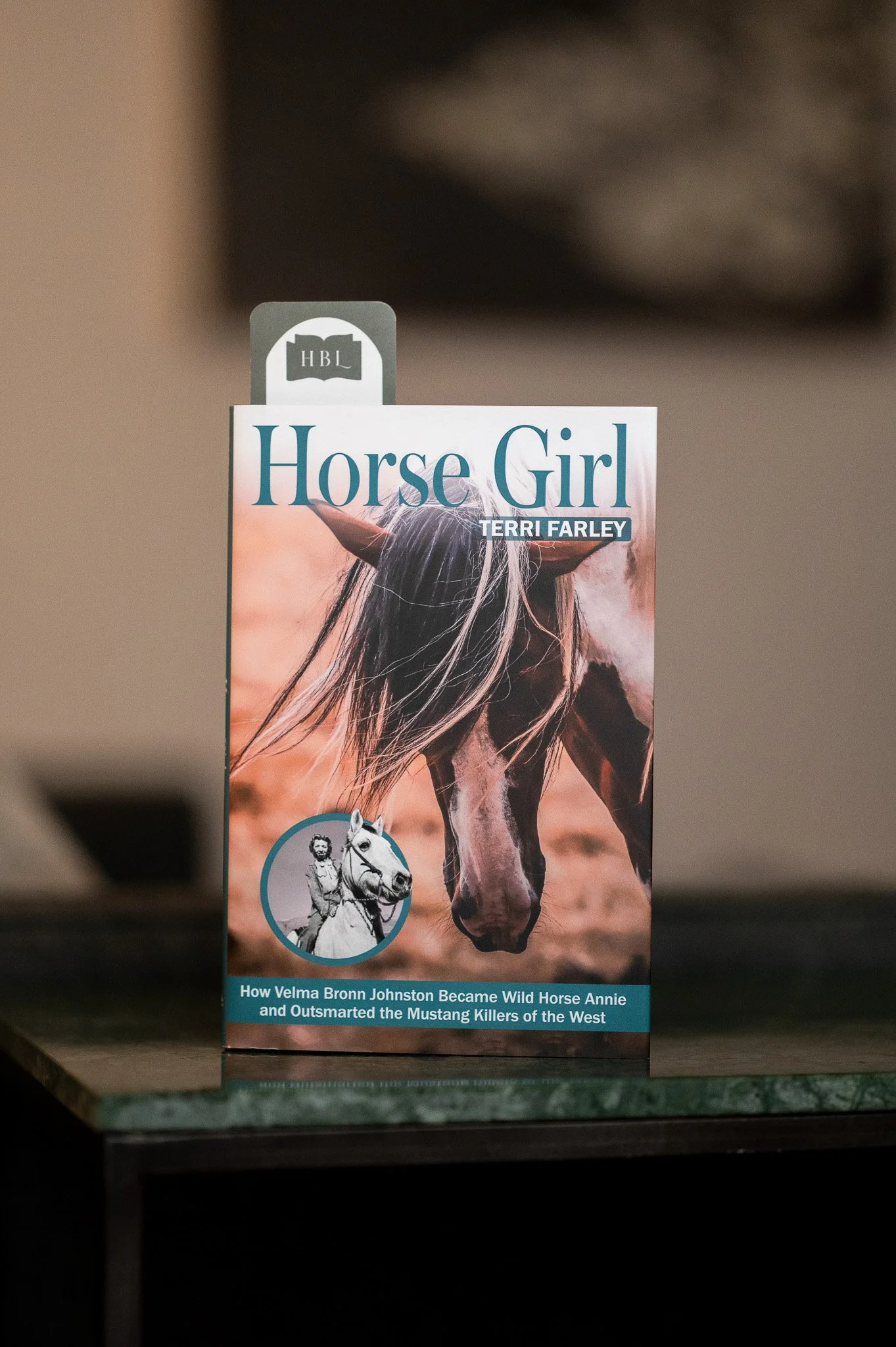 Horse Girl by Terri Farley .jpg