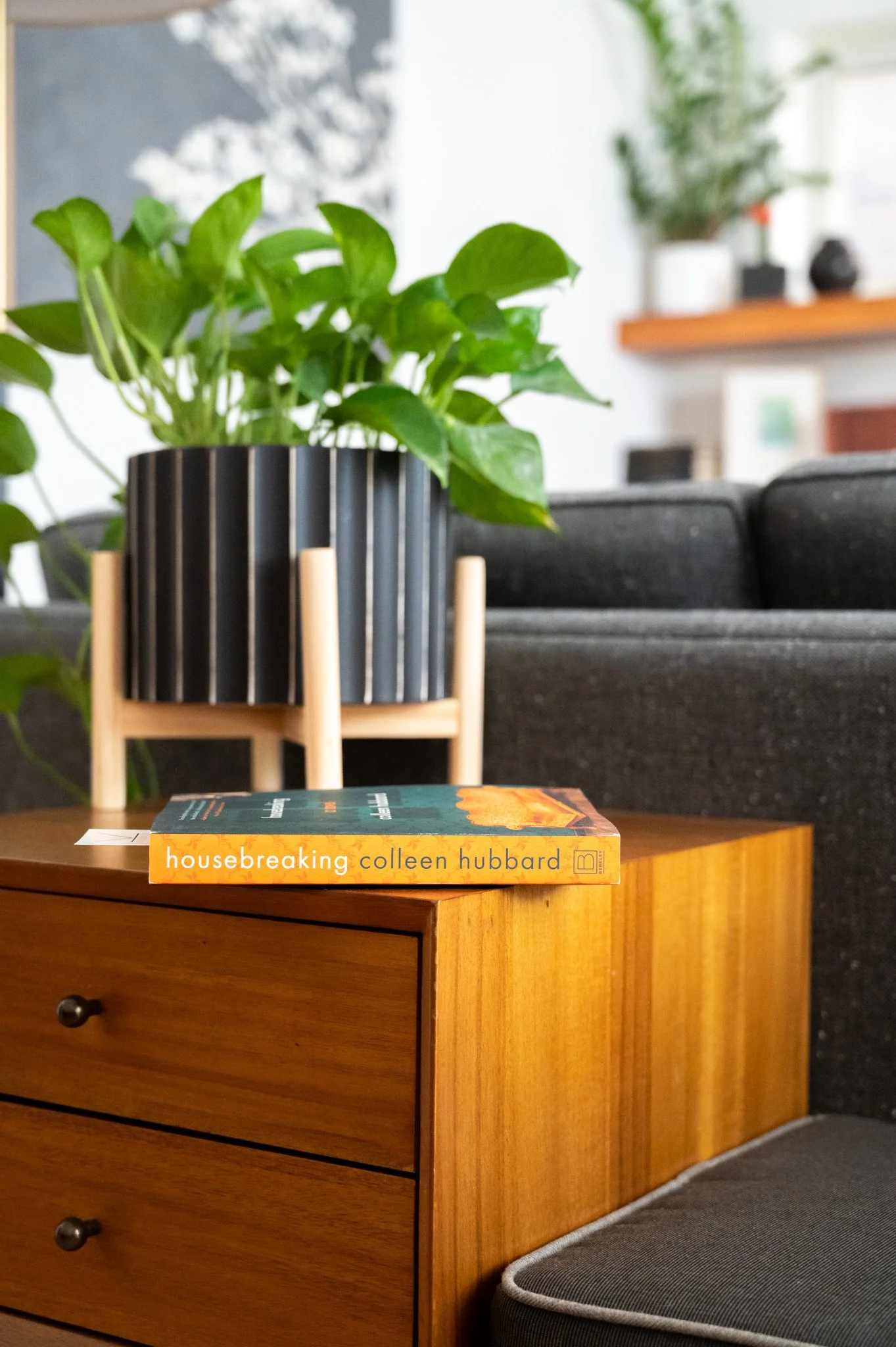 Book Feature Housebreaking by Colleen Hubbard Book Review Hasty